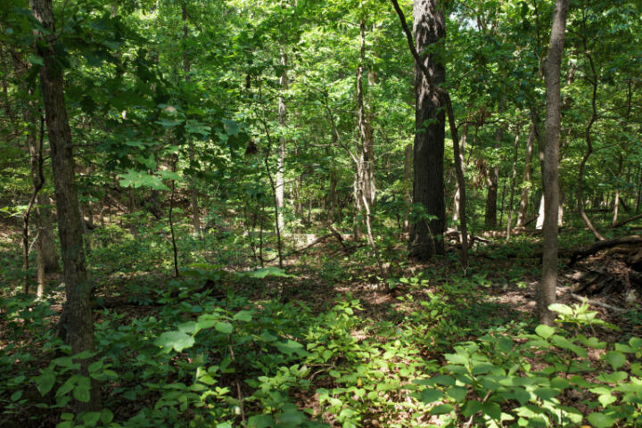 000 Highway 5 Property Photo 30