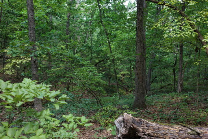 000 Highway 5 Property Photo 32