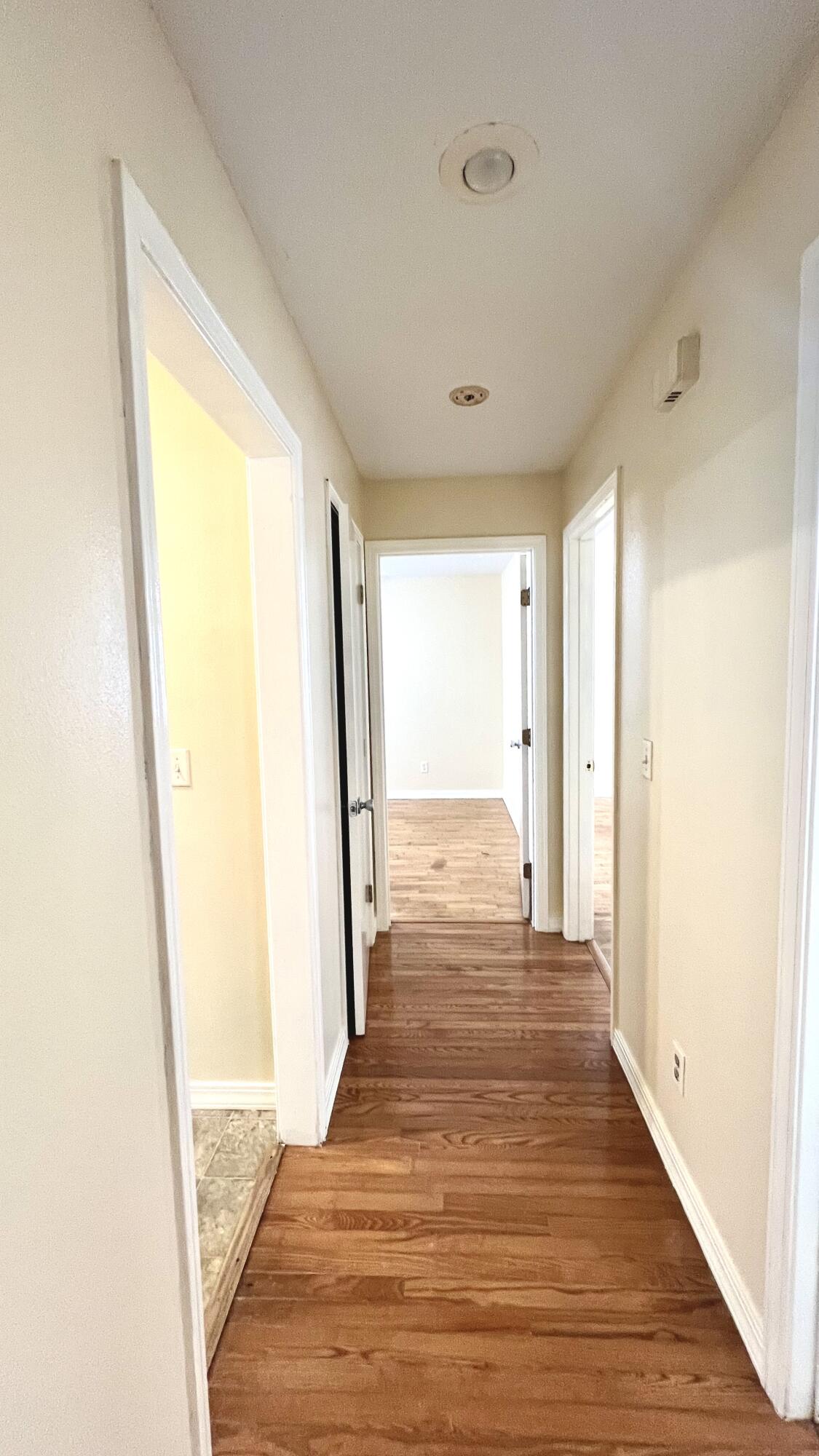 502 West County Street Property Photo 17