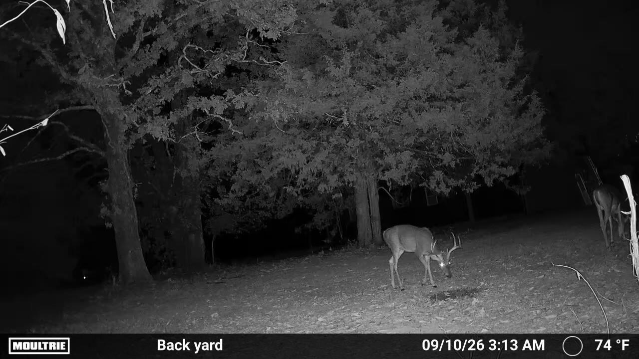 0000 County Road Jj-416 Property Photo 2