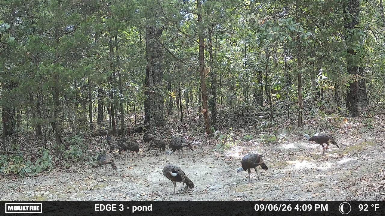 0000 County Road Jj-416 Property Photo 3