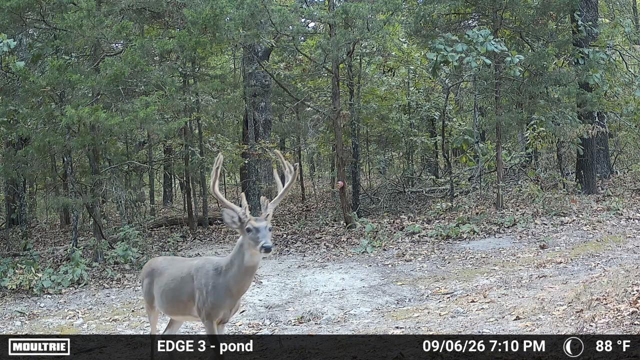 0000 County Road Jj-416 Property Photo 5