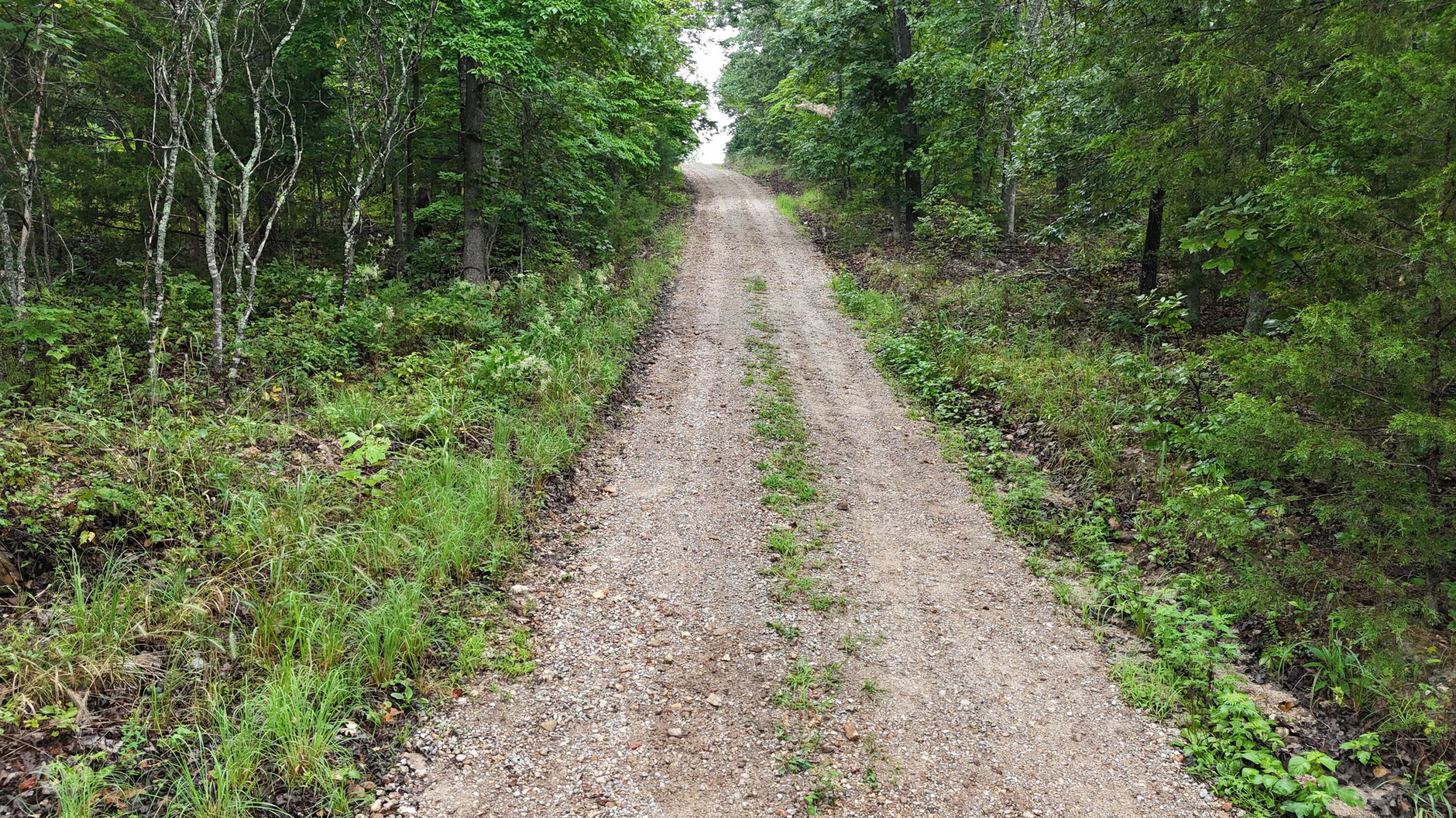 0000 County Road Jj-416 Property Photo 6