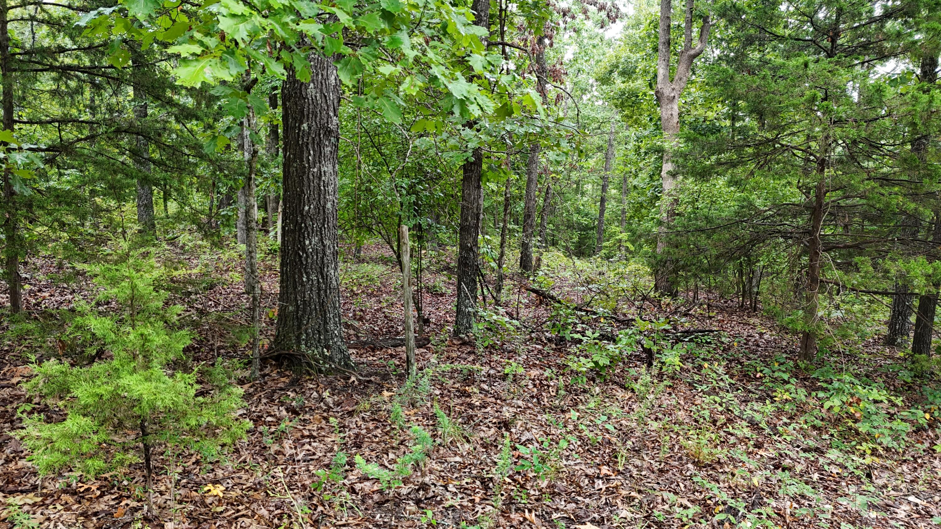 0000 County Road Jj-416 Property Photo 7