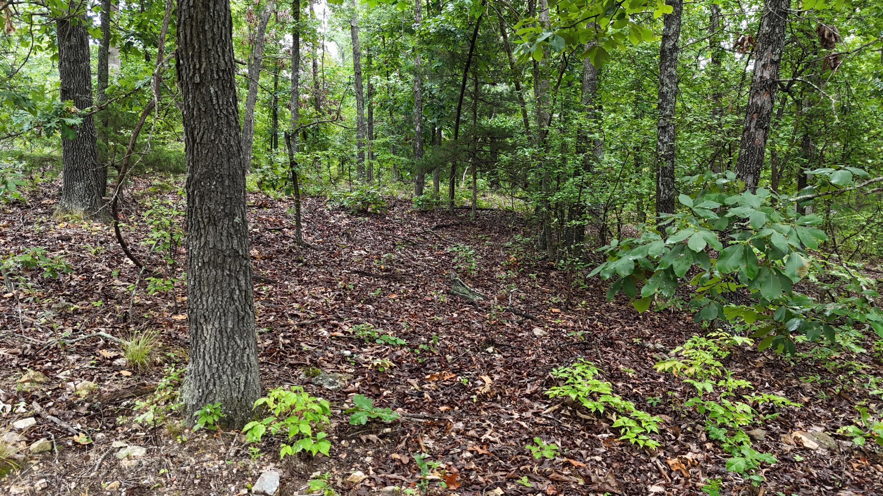 0000 County Road Jj-416 Property Photo 8