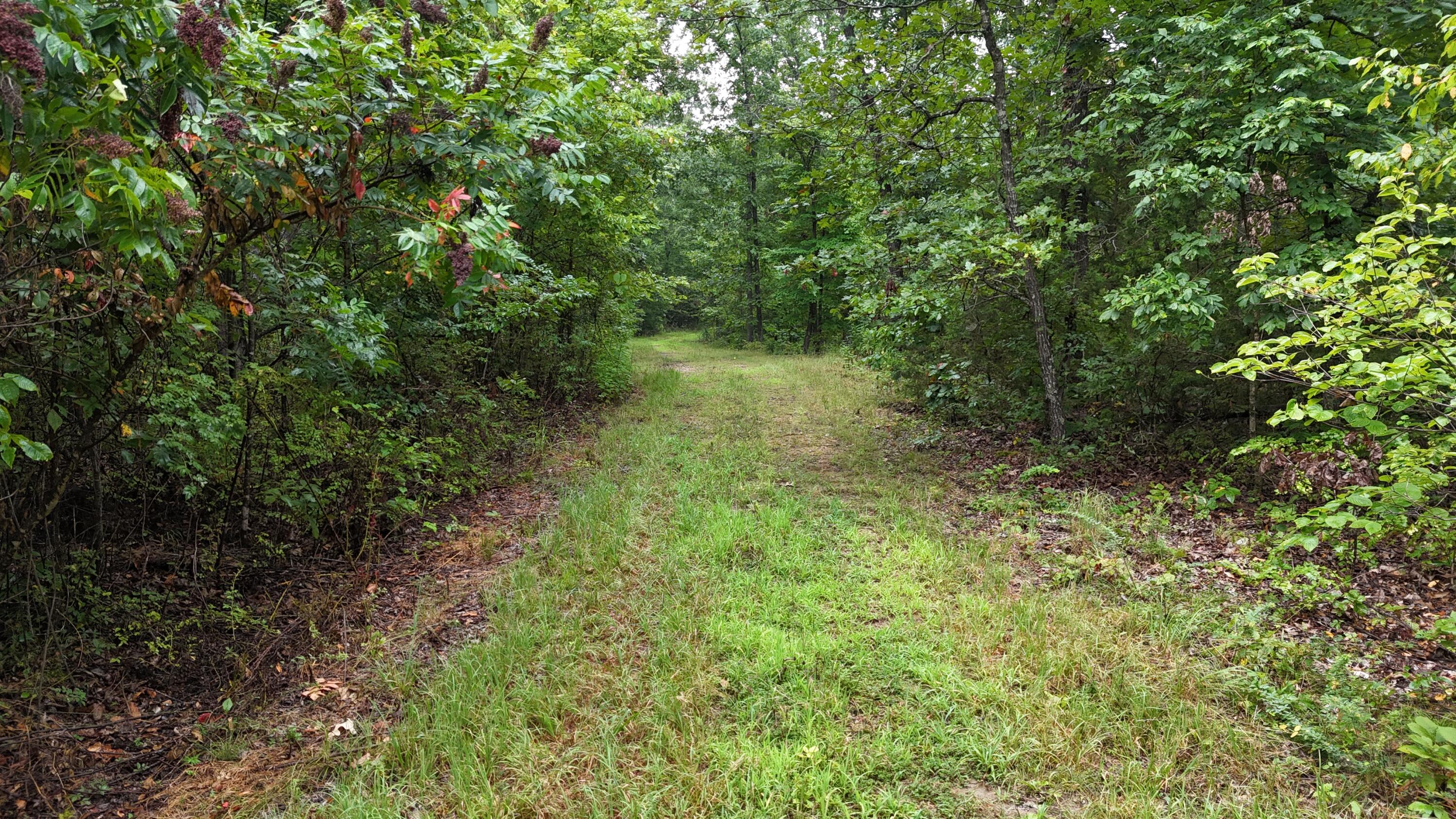 0000 County Road Jj-416 Property Photo 10