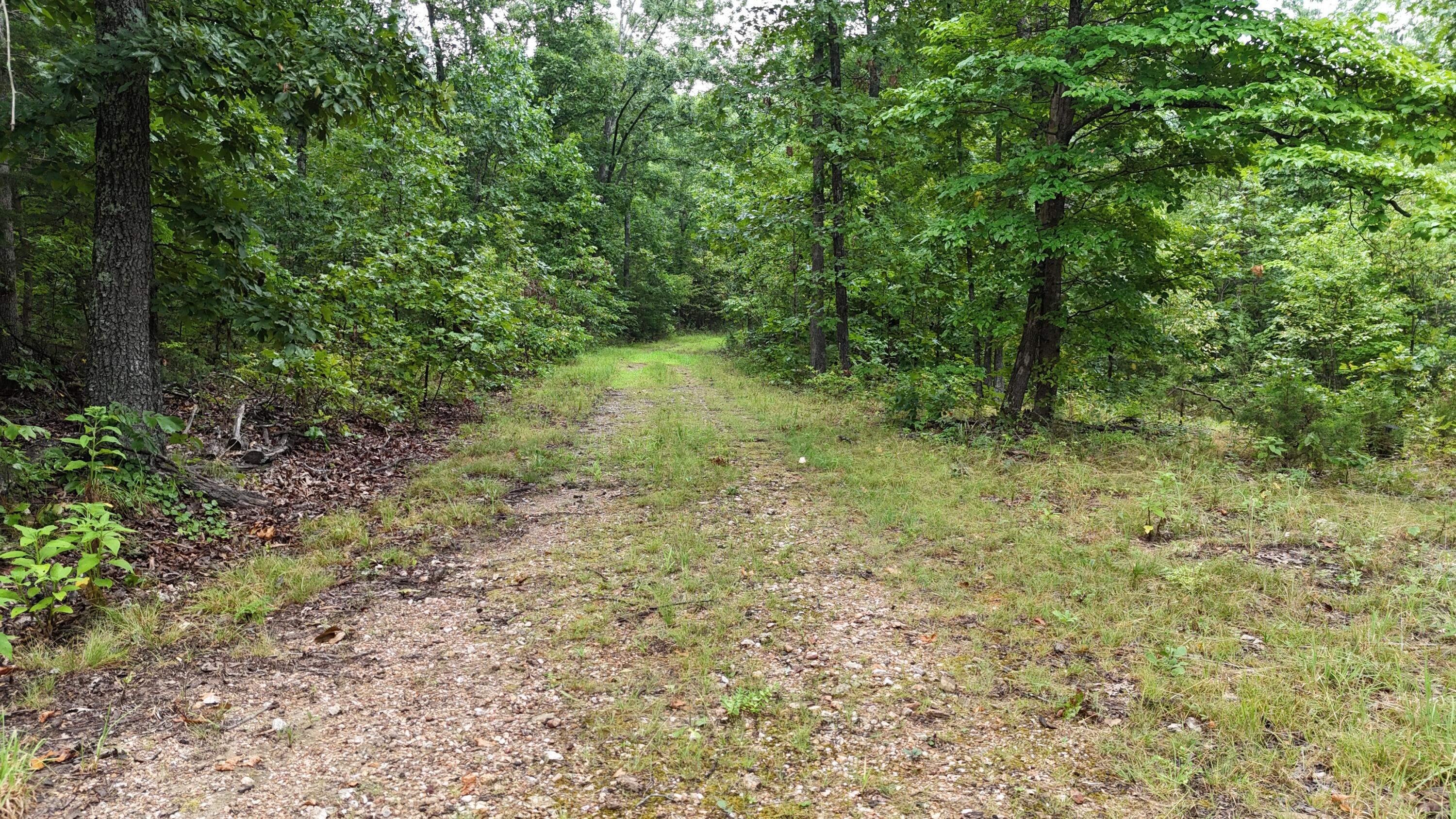 0000 County Road Jj-416 Property Photo 11