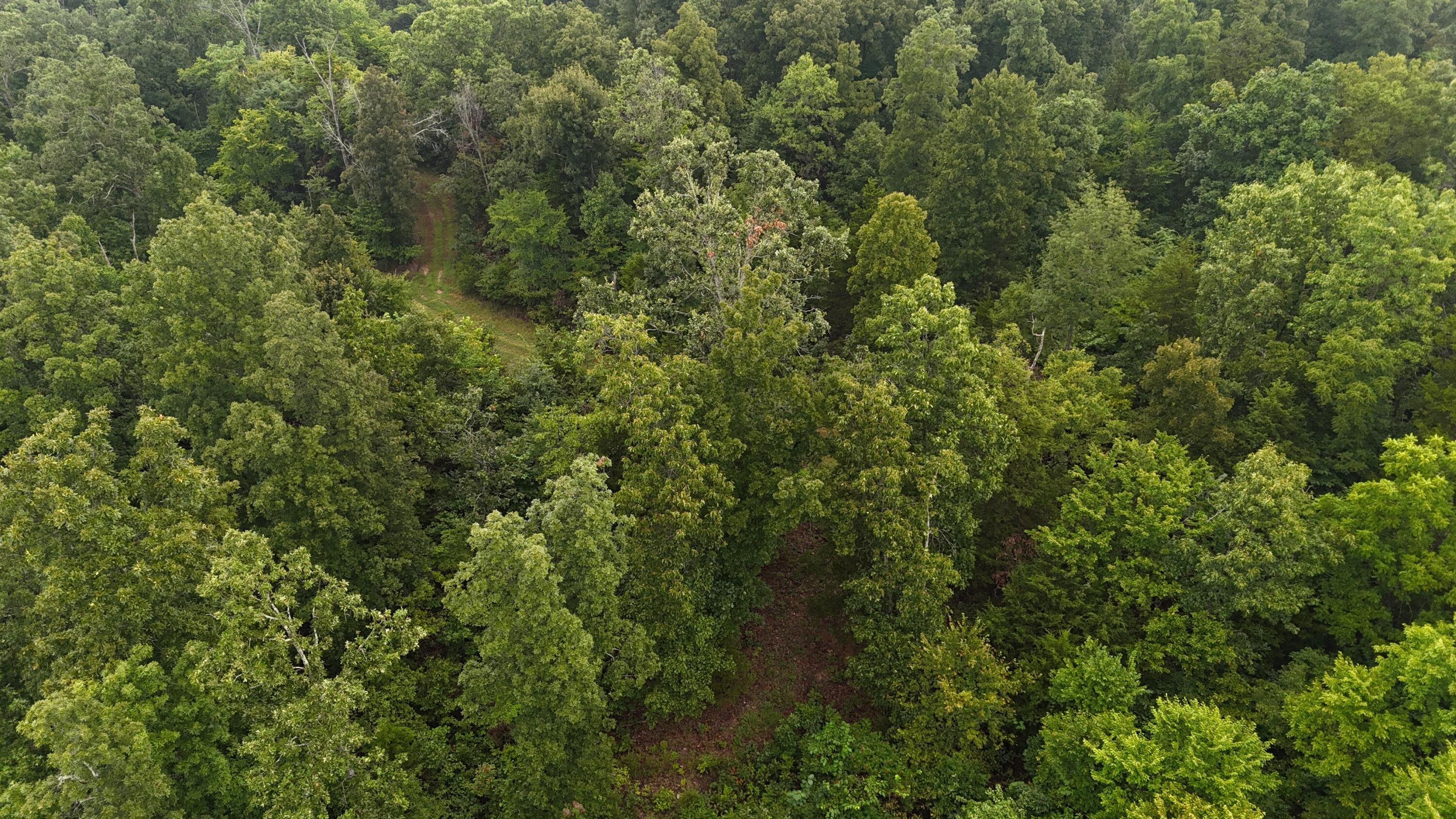 0000 County Road Jj-416 Property Photo 12