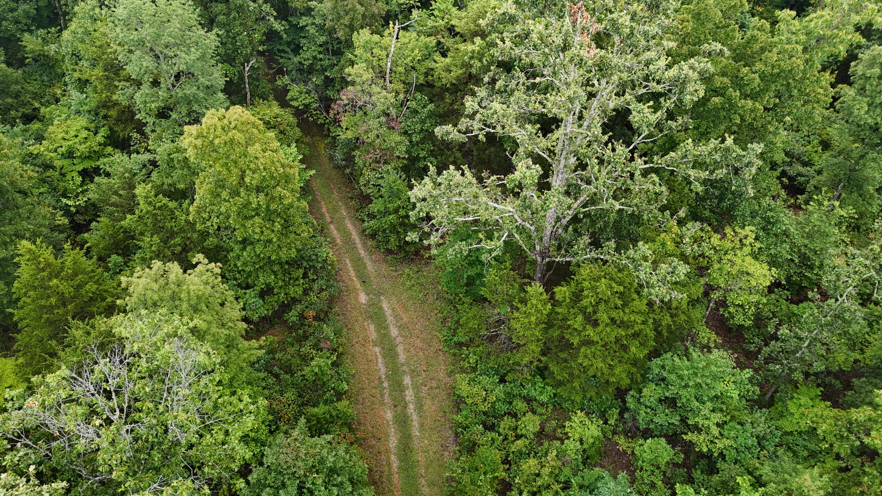0000 County Road Jj-416 Property Photo 13