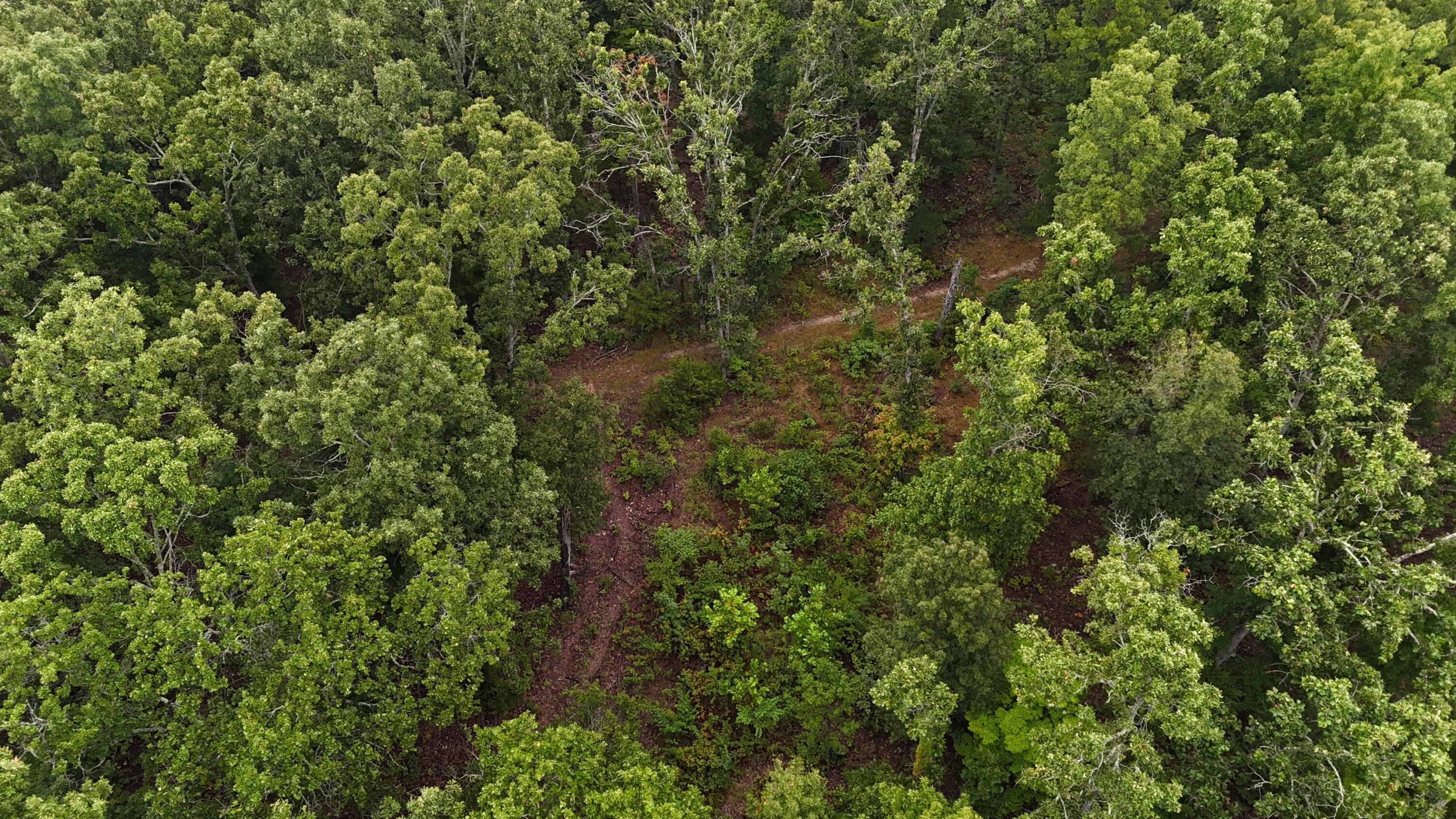 0000 County Road Jj-416 Property Photo 17