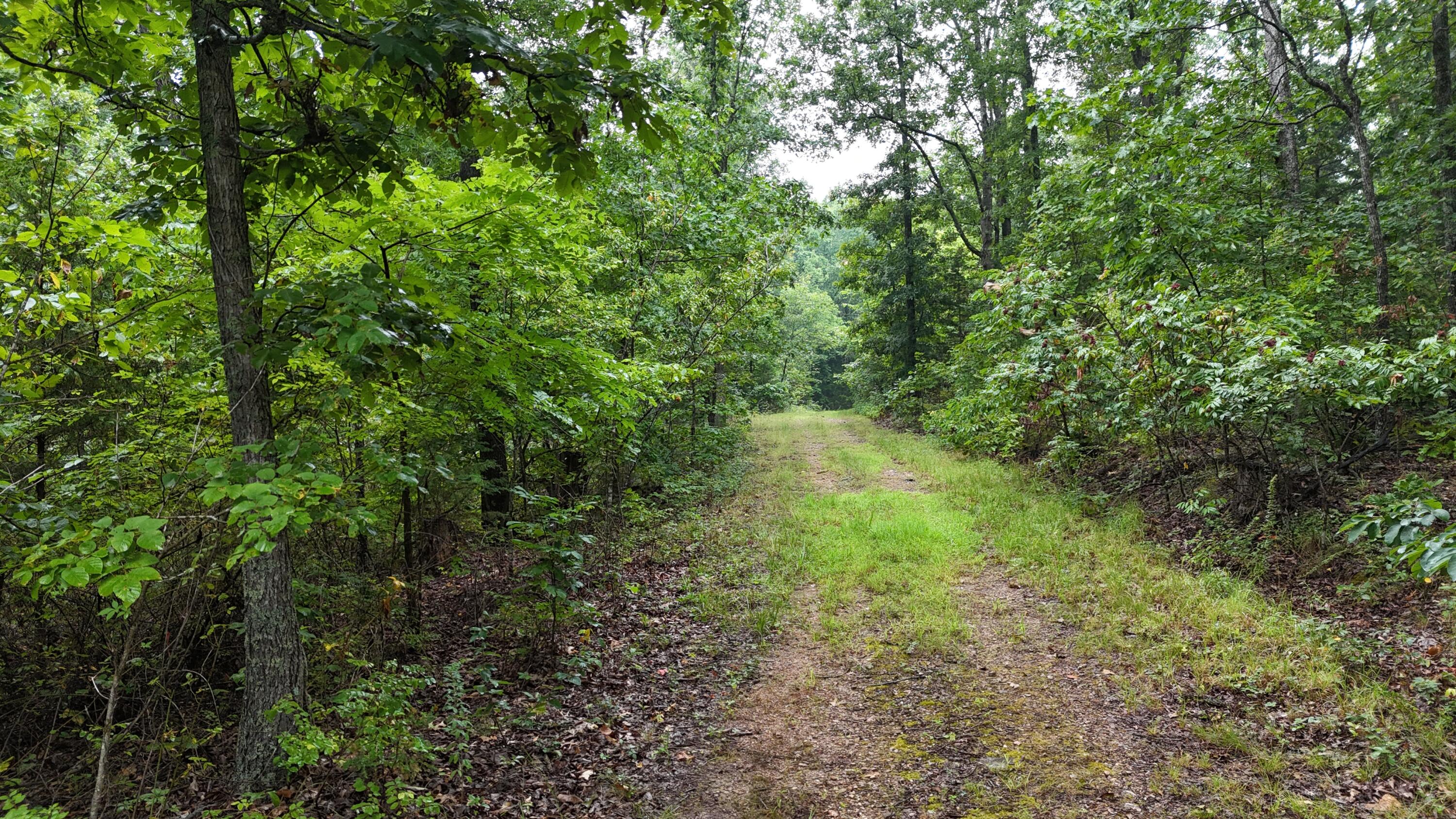 0000 County Road Jj-416 Property Photo 22