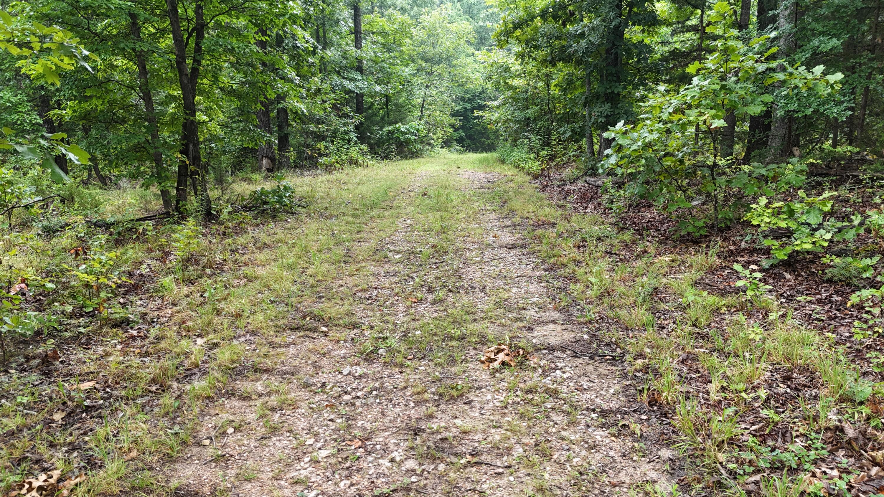 0000 County Road Jj-416 Property Photo 24