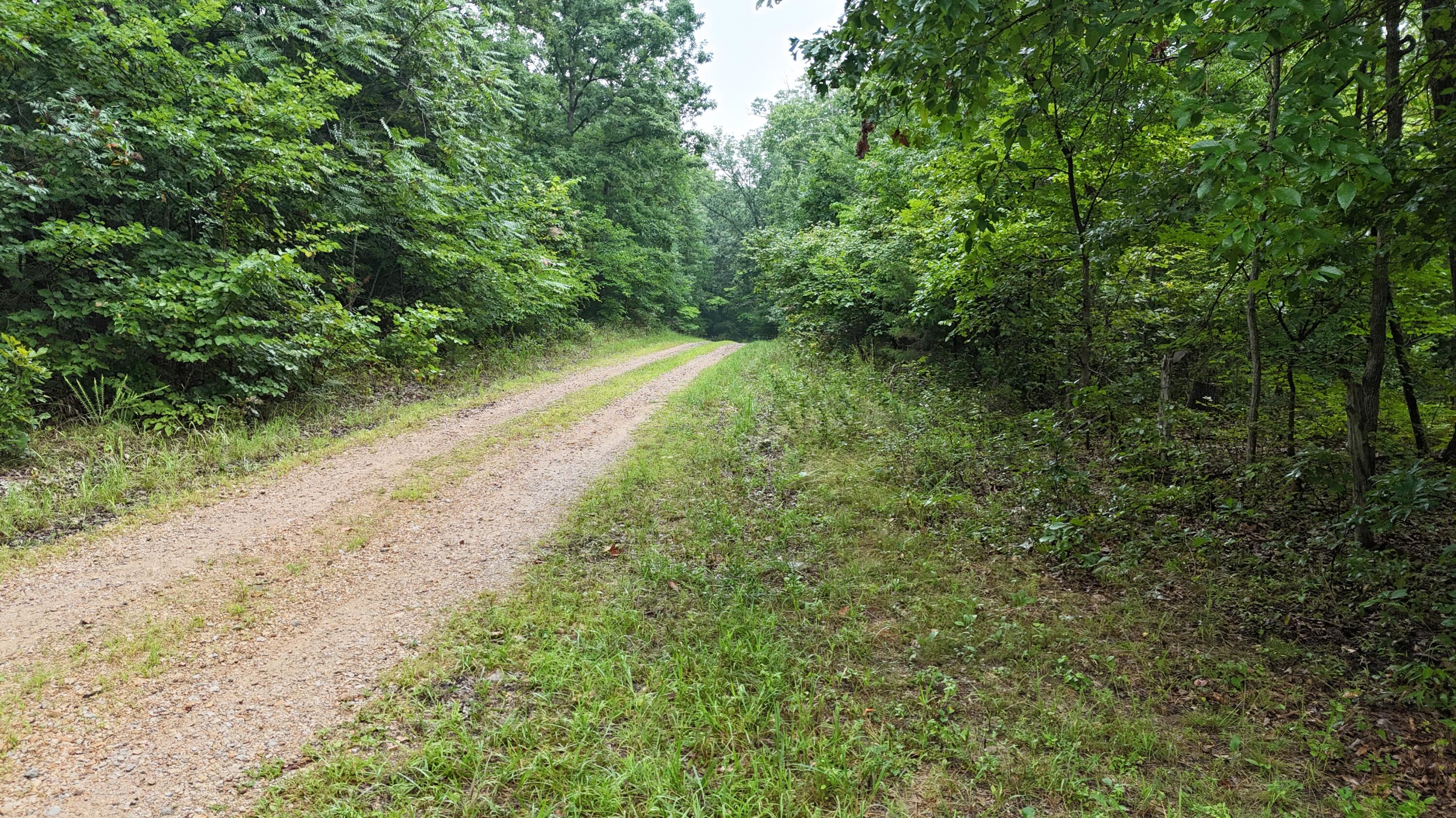 0000 County Road Jj-416 Property Photo 26