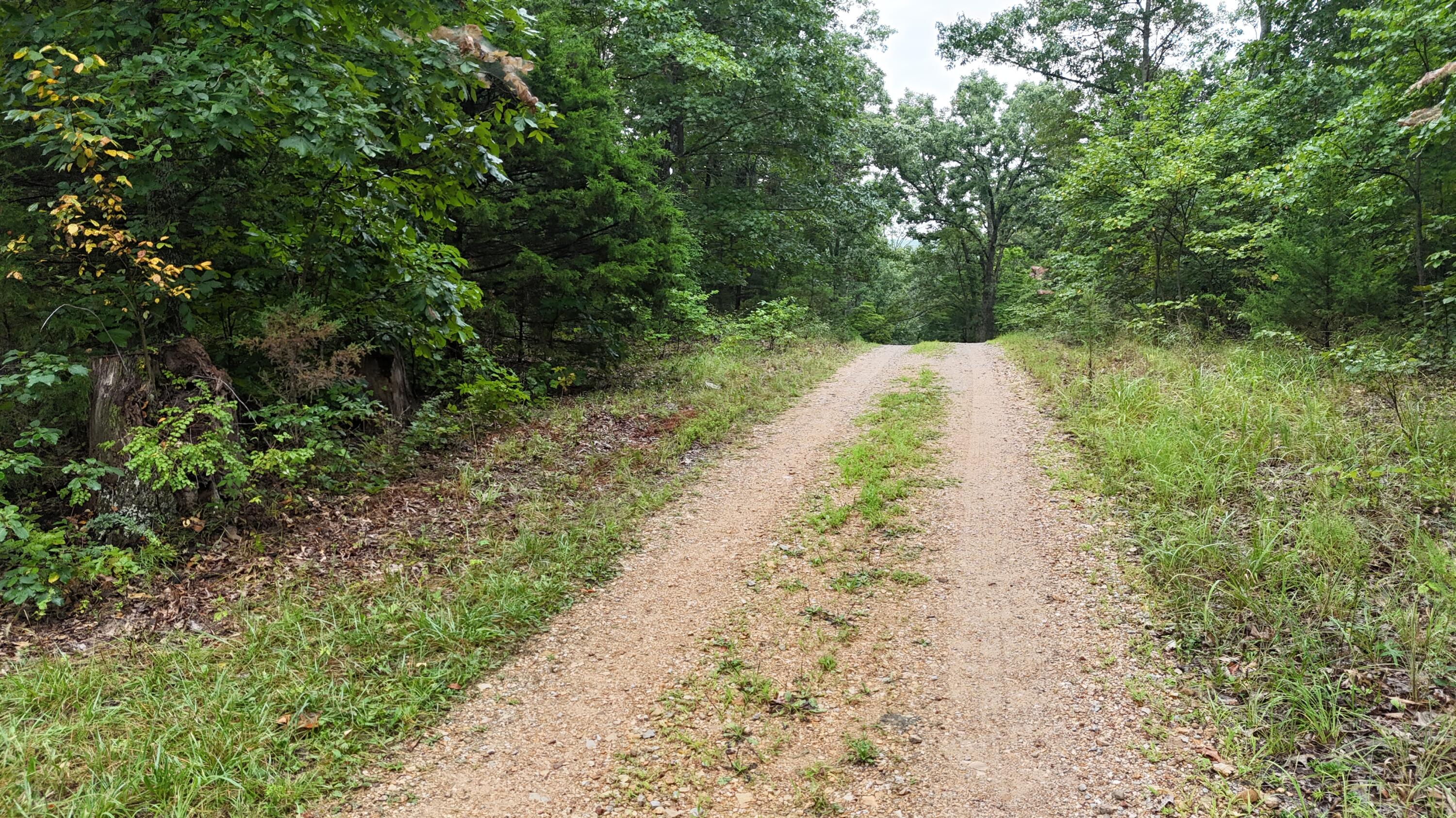 0000 County Road Jj-416 Property Photo 27