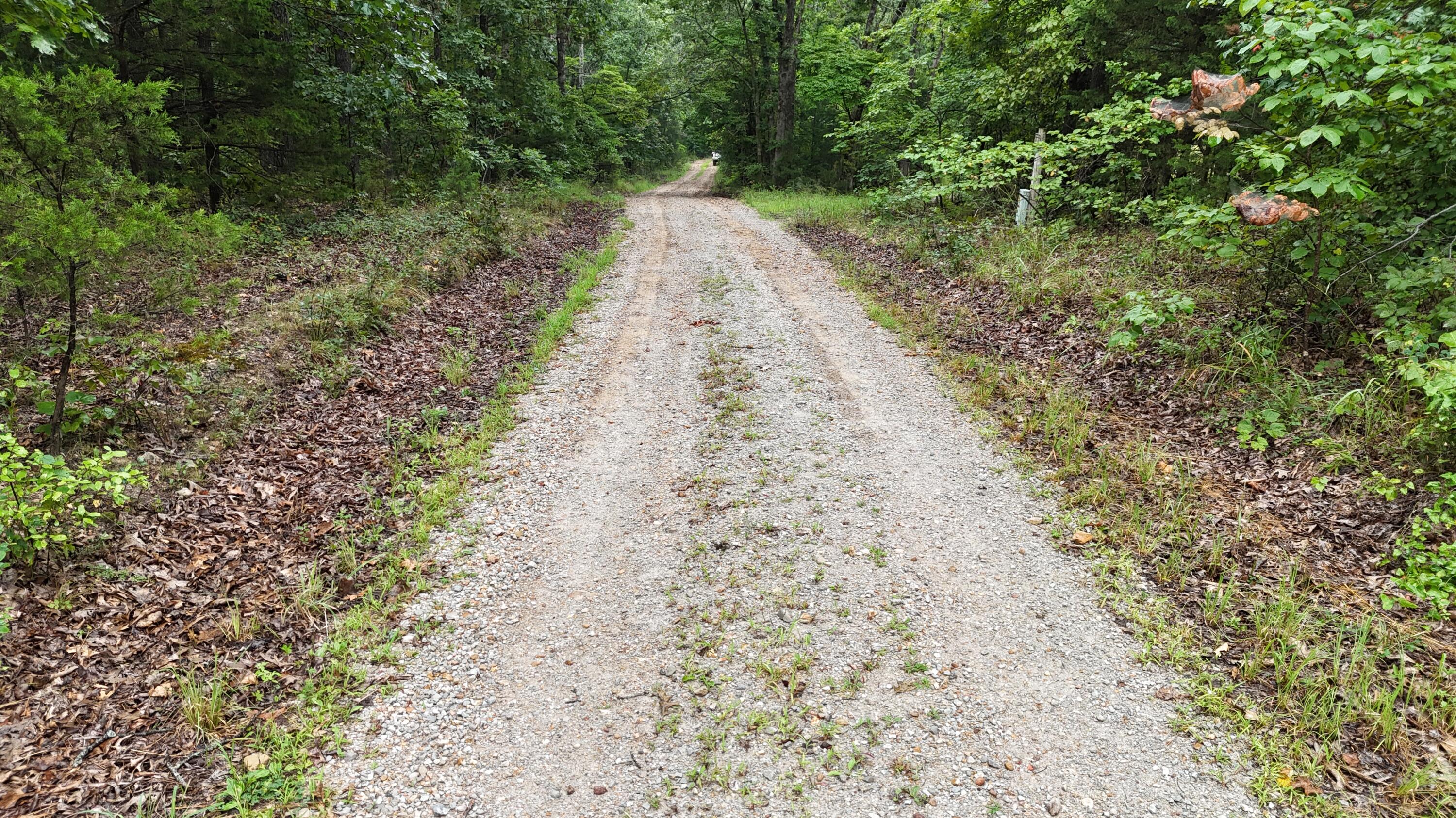 0000 County Road Jj-416 Property Photo 30