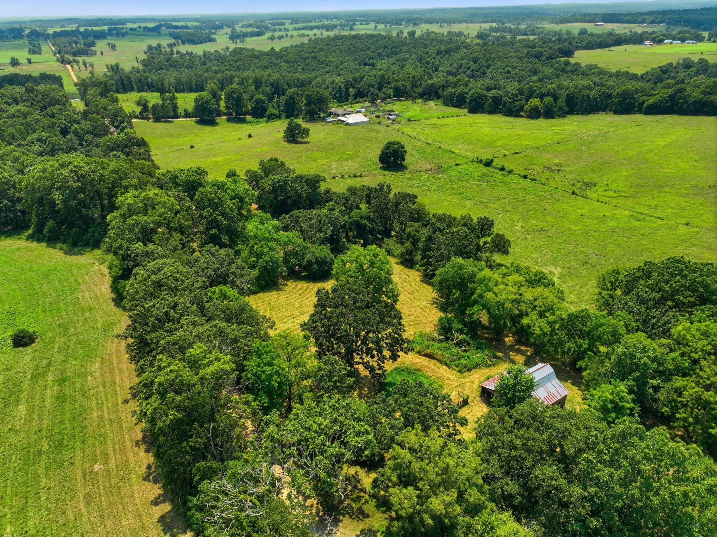9169 County Road 483 Property Photo 40