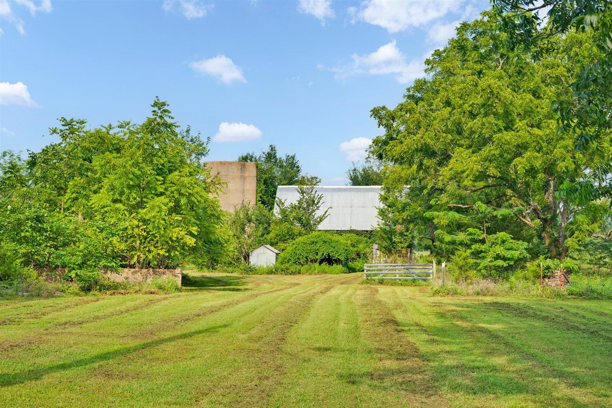 12 Wallace Lane Property Photo 29