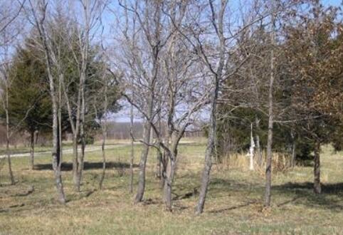 2294 State Highway 64 Property Photo 1