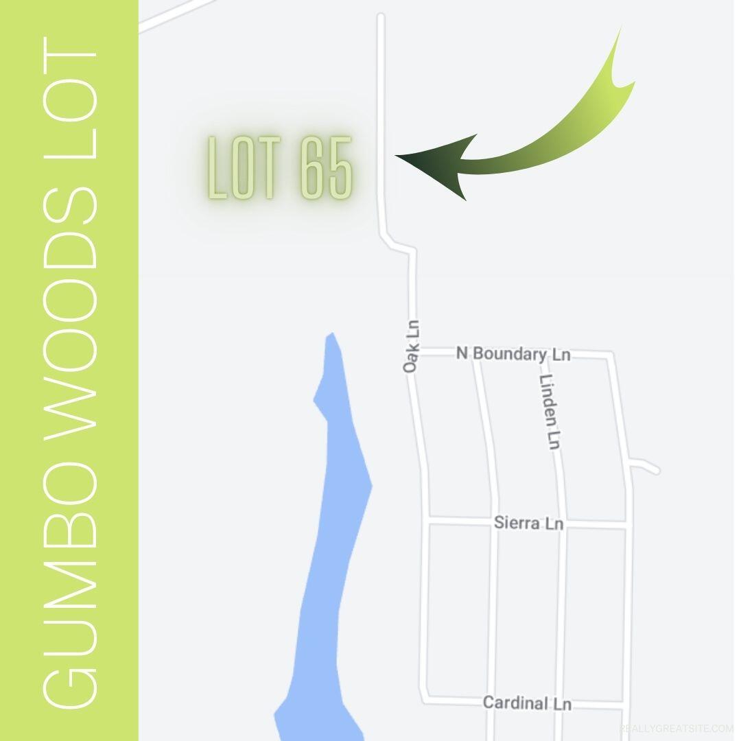 Lot 65 Gumbo Woods Property Photo 4