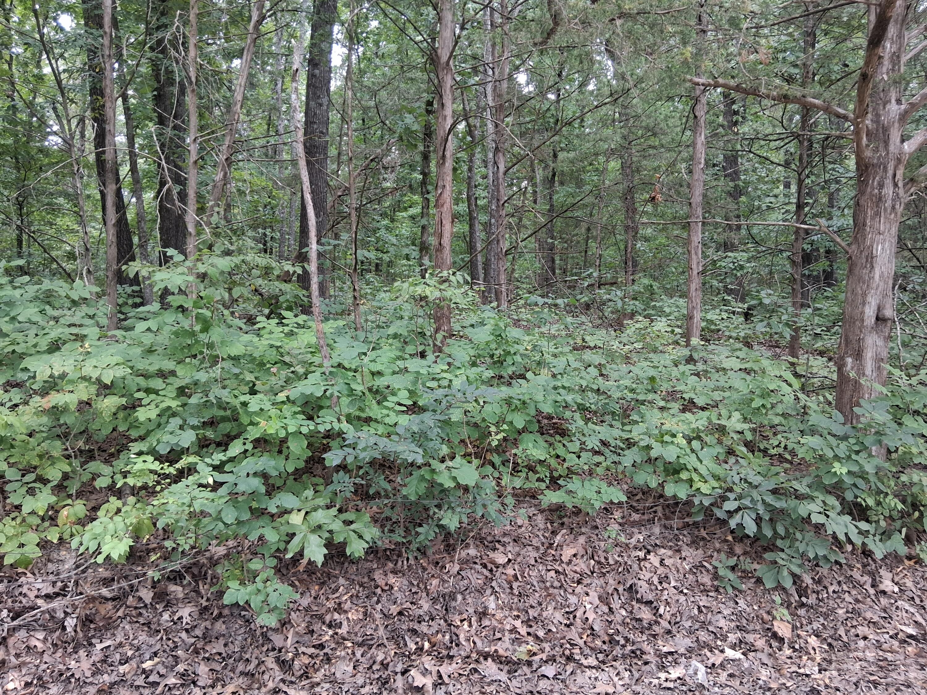 000 Fireman Property Photo 3