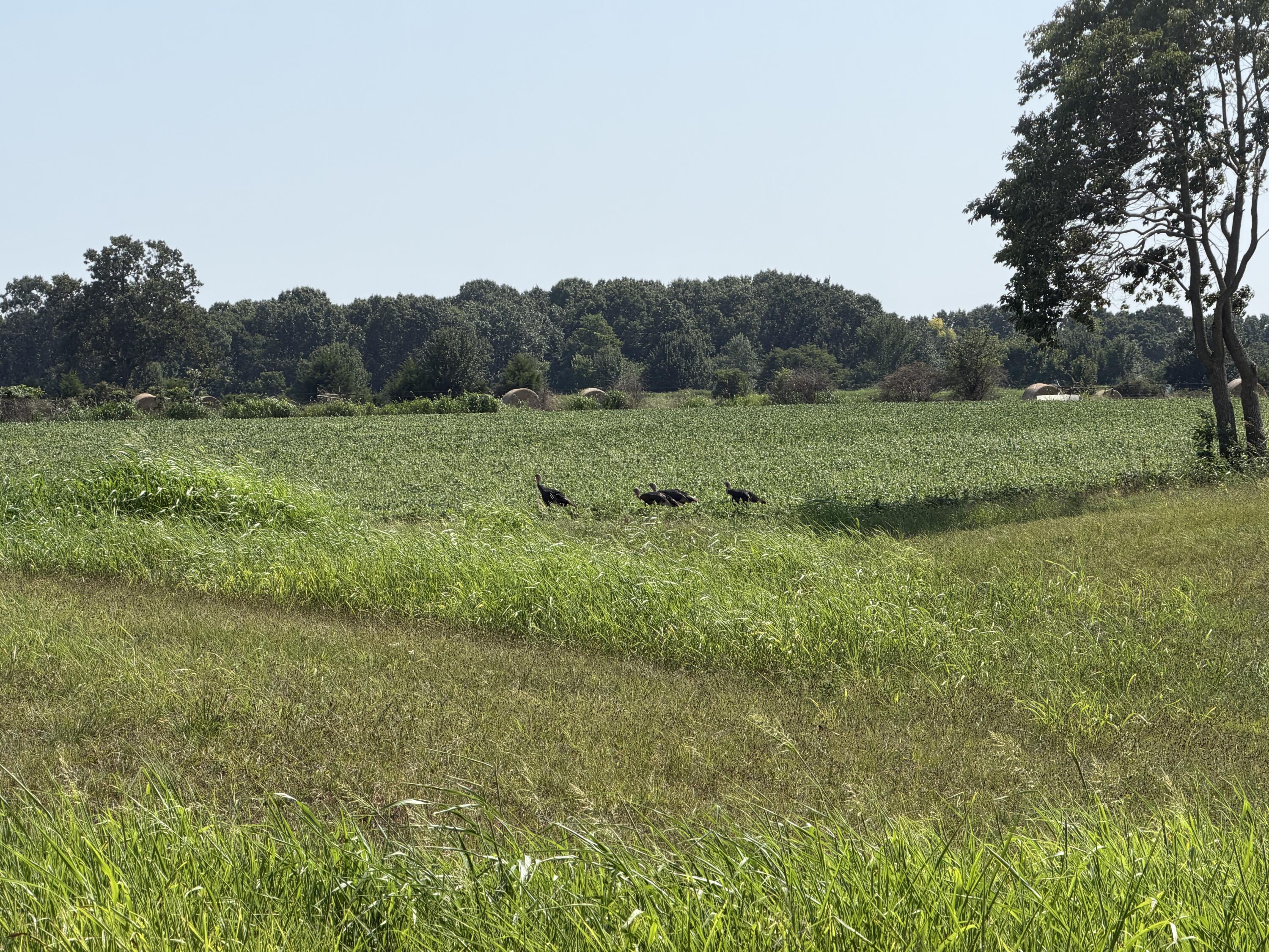 000 State Highway Y Property Photo 2