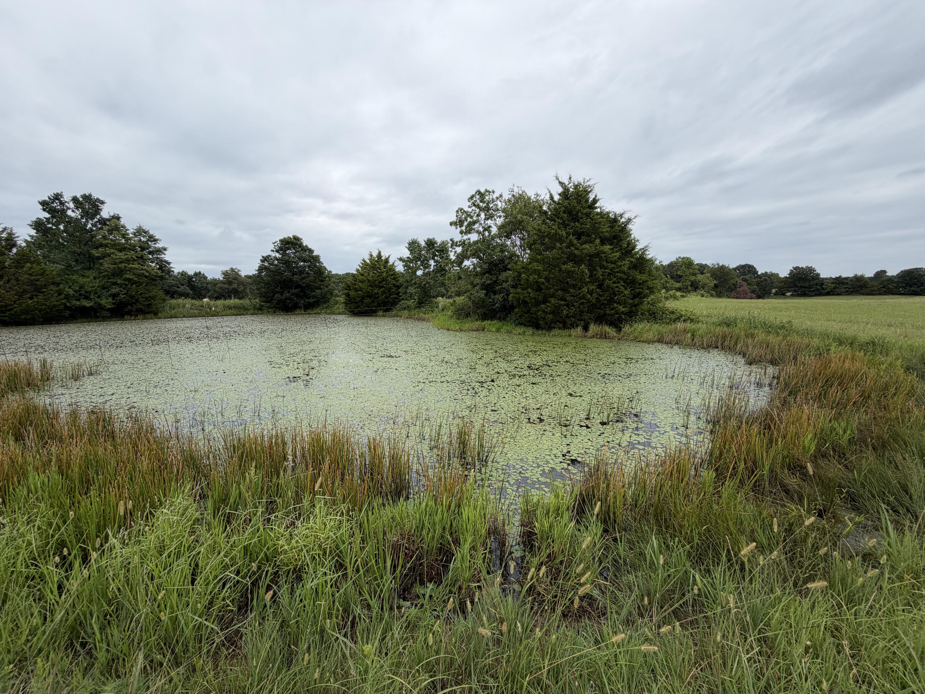 000 State Highway Y Property Photo 3
