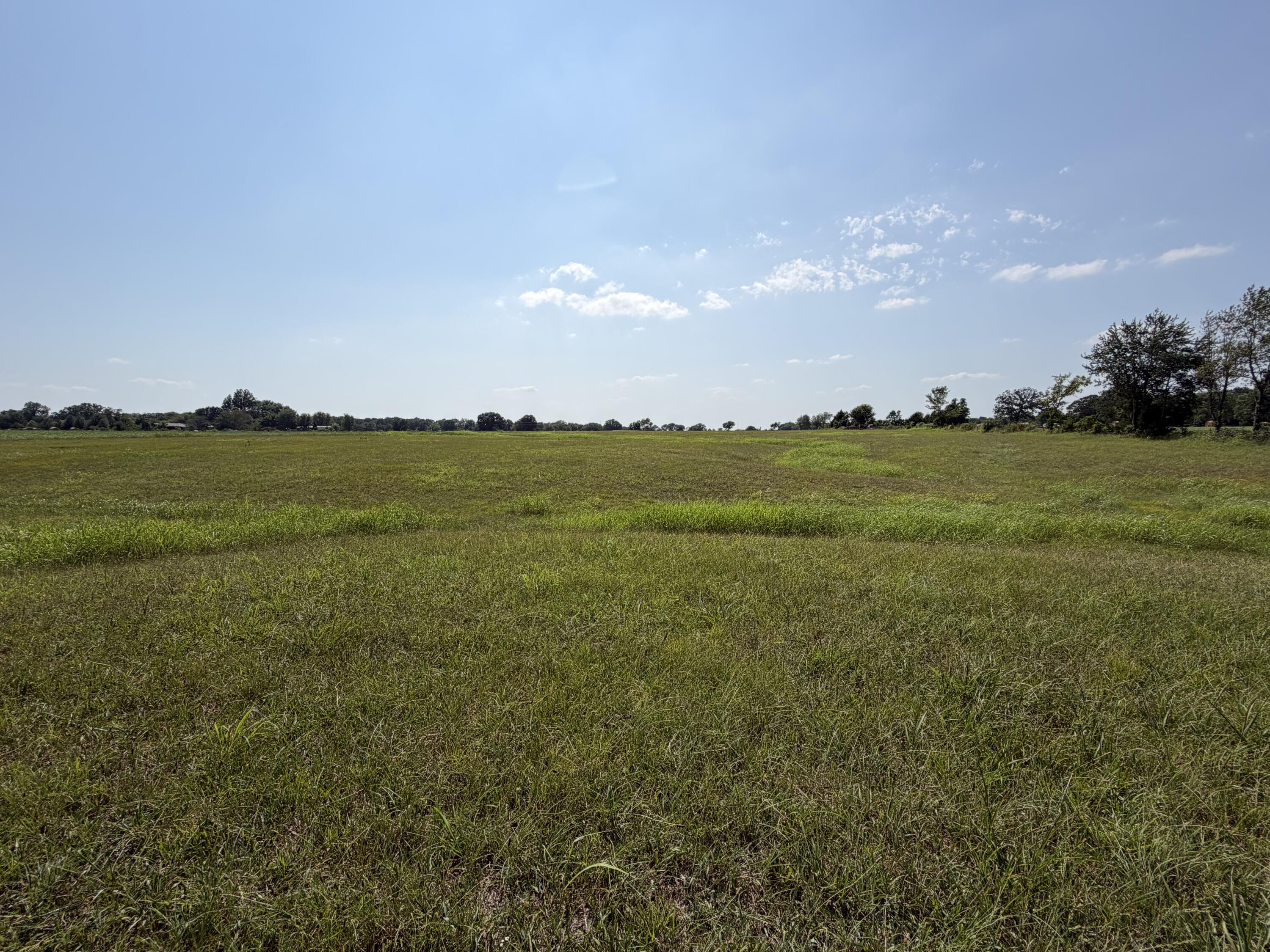 000 State Highway Y Property Photo 5