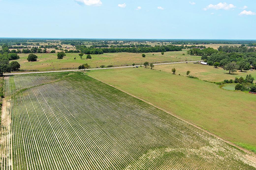 000 State Highway Y Property Photo 13