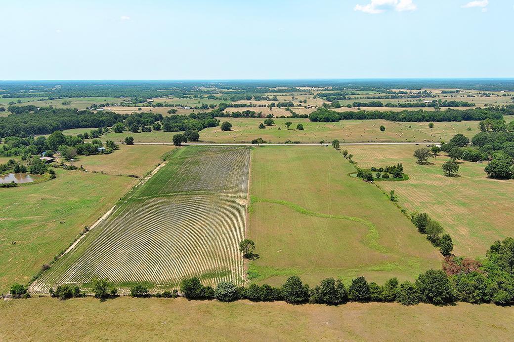 000 State Highway Y Property Photo 14