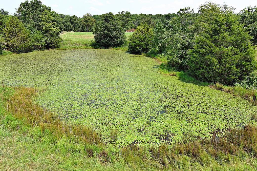 000 State Highway Y Property Photo 24
