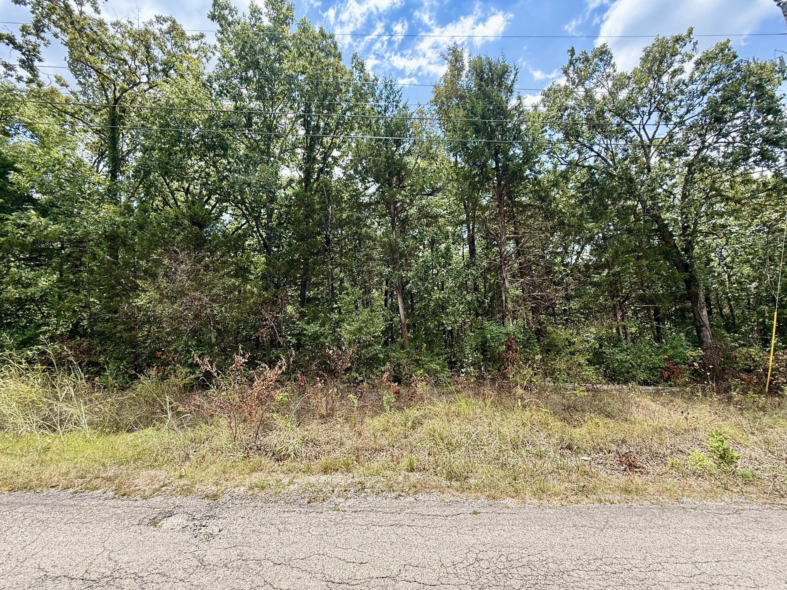 Lot 5 Driftwood Road Property Photo 2