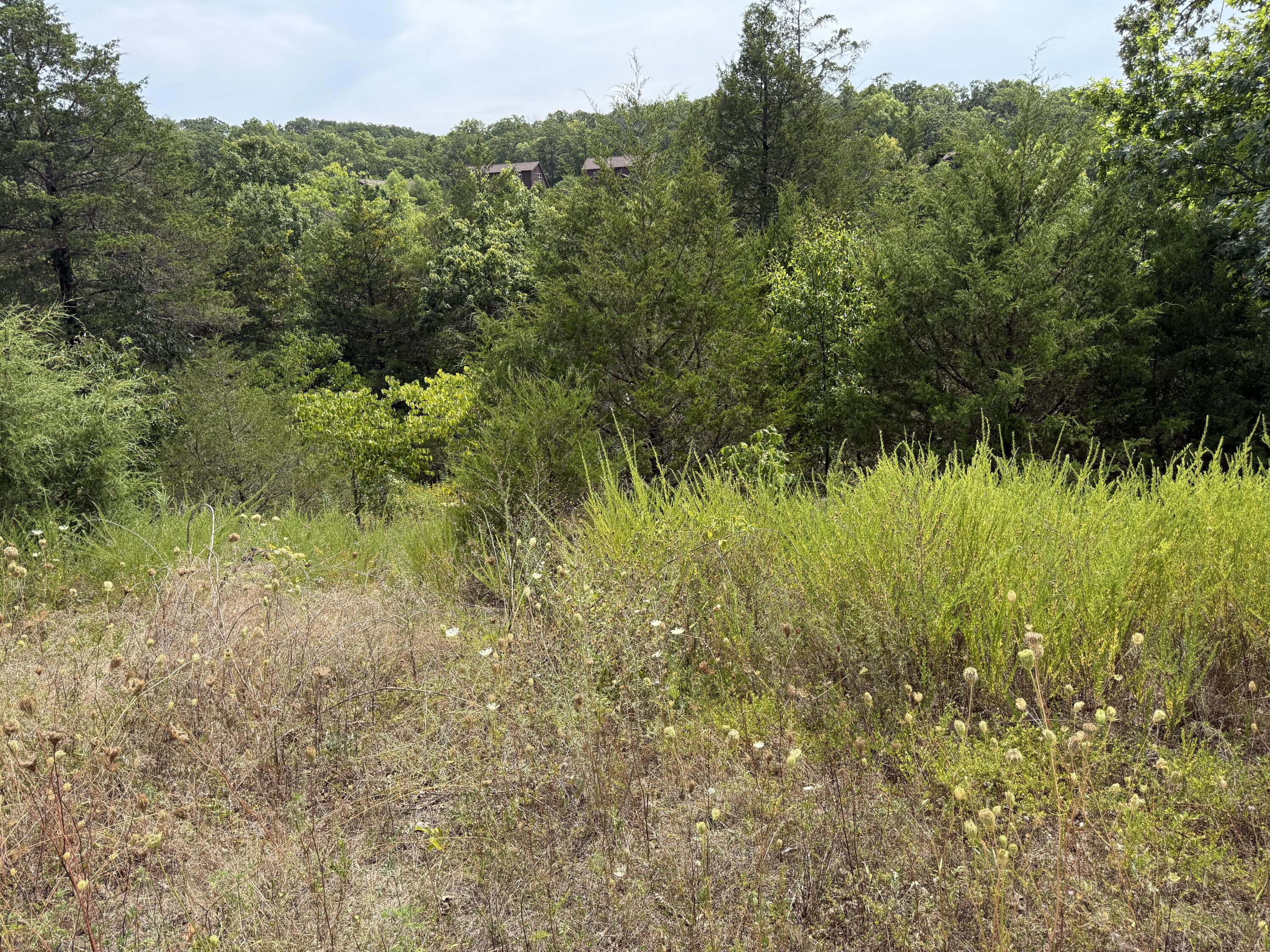 224 Blue Lake Trail Property Photo 1