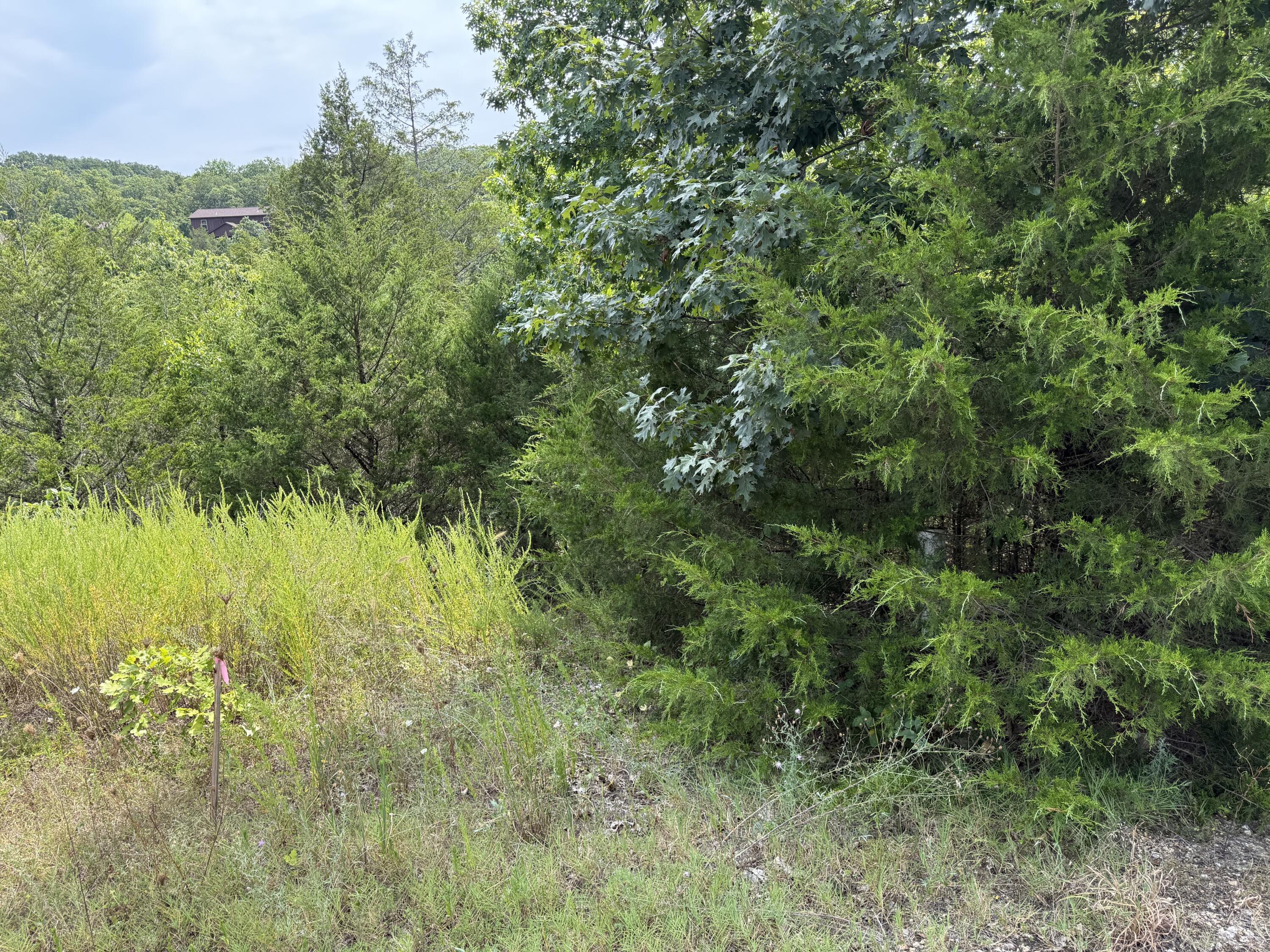 224 Blue Lake Trail Property Photo 5