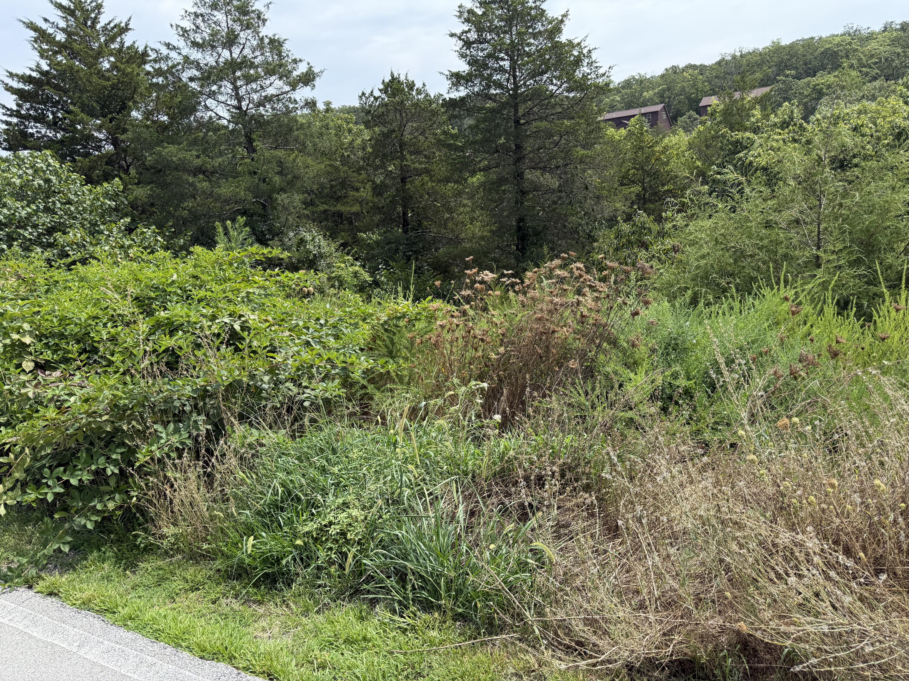 224 Blue Lake Trail Property Photo 6