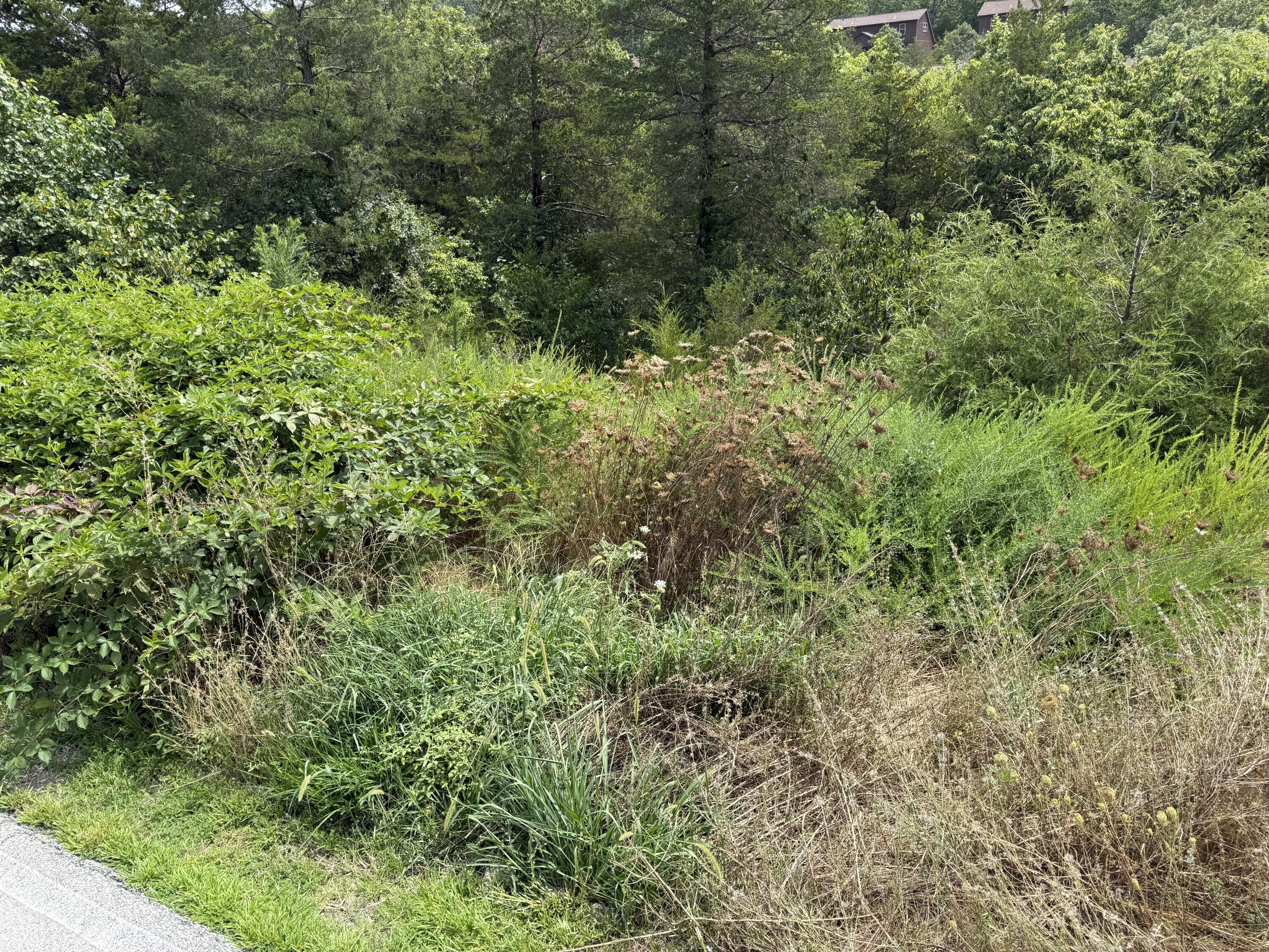 224 Blue Lake Trail Property Photo 7