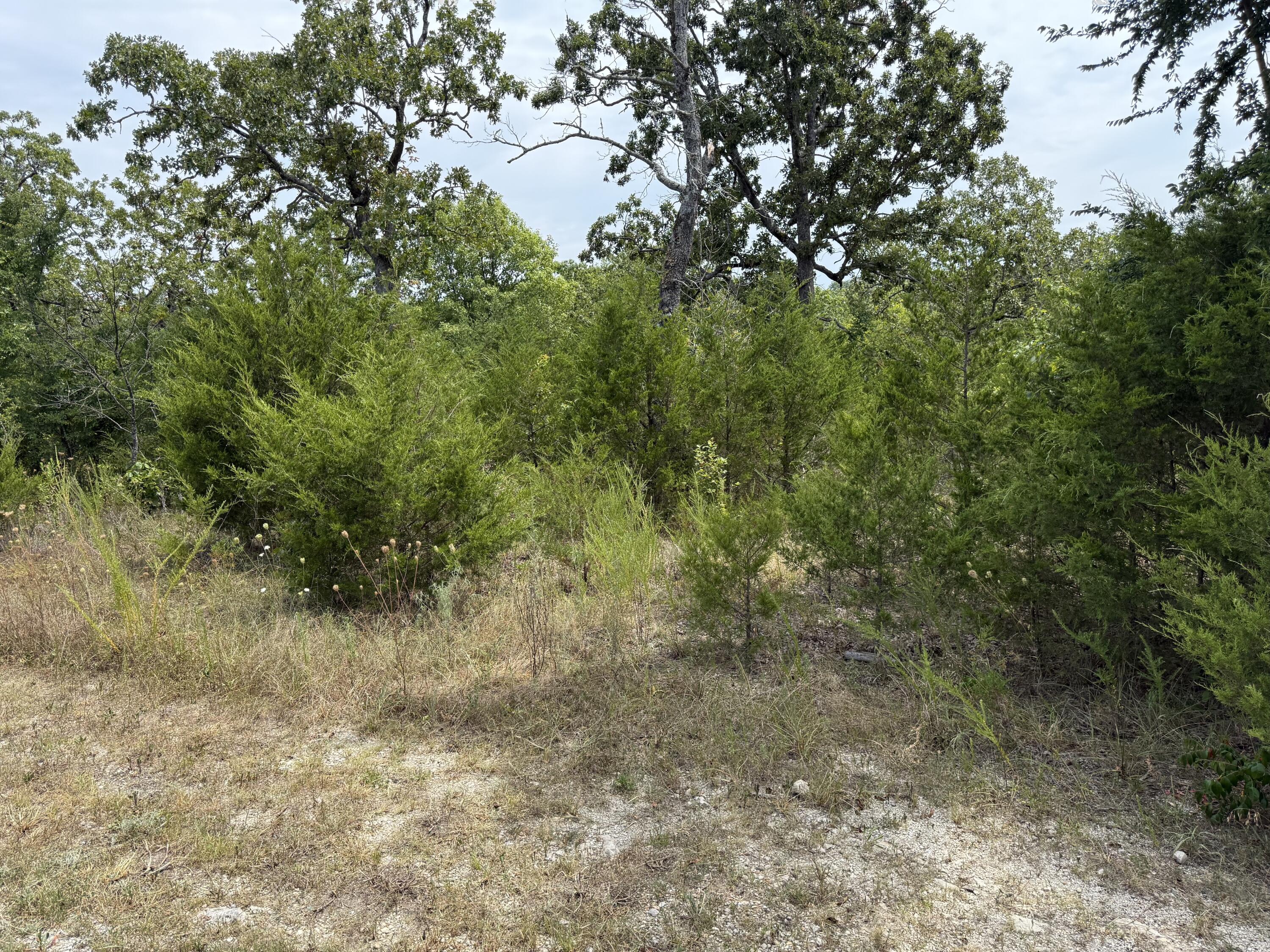 295 Beechwood Drive Property Photo 1