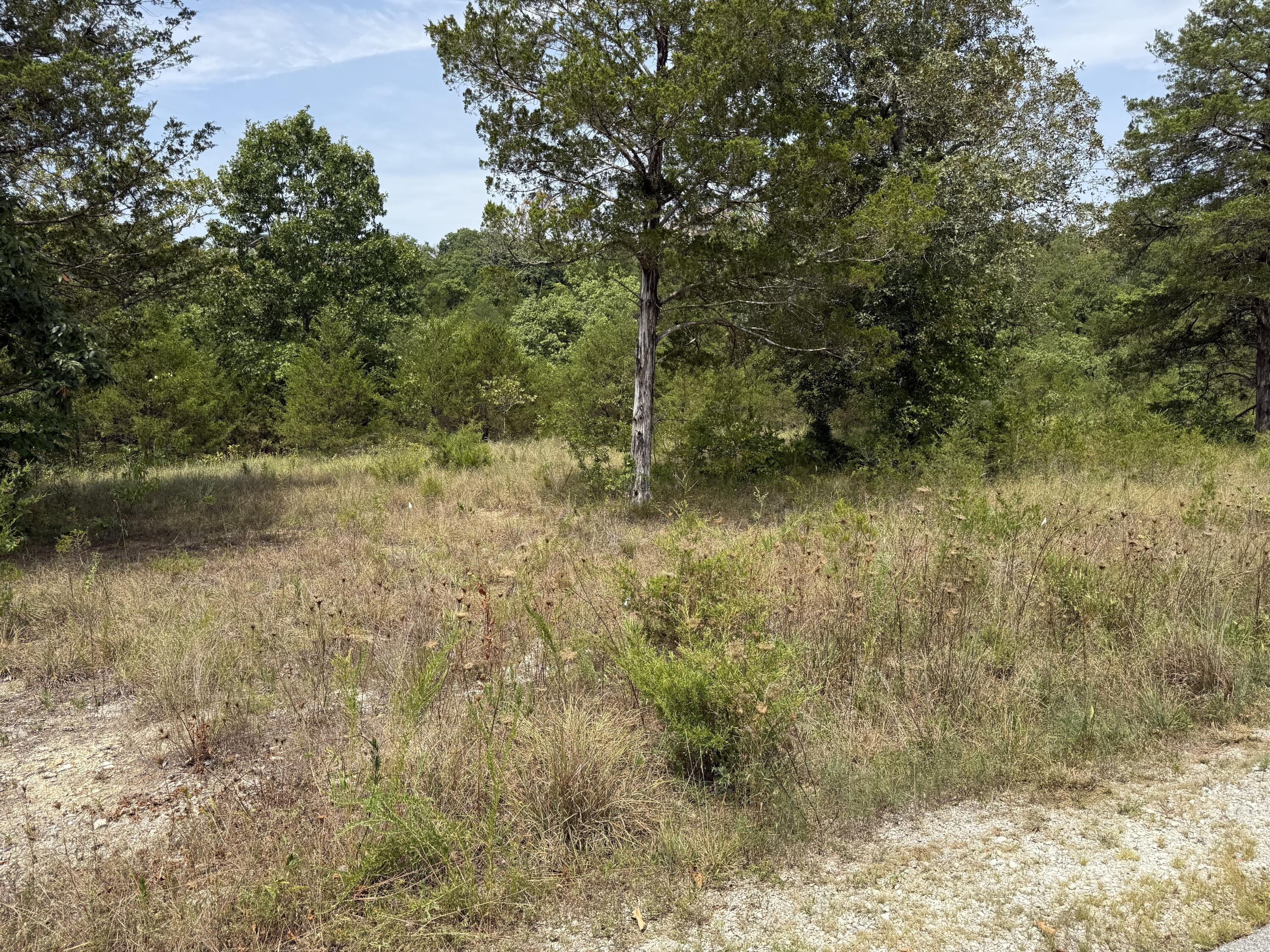 272 Beechwood Drive Property Photo 1