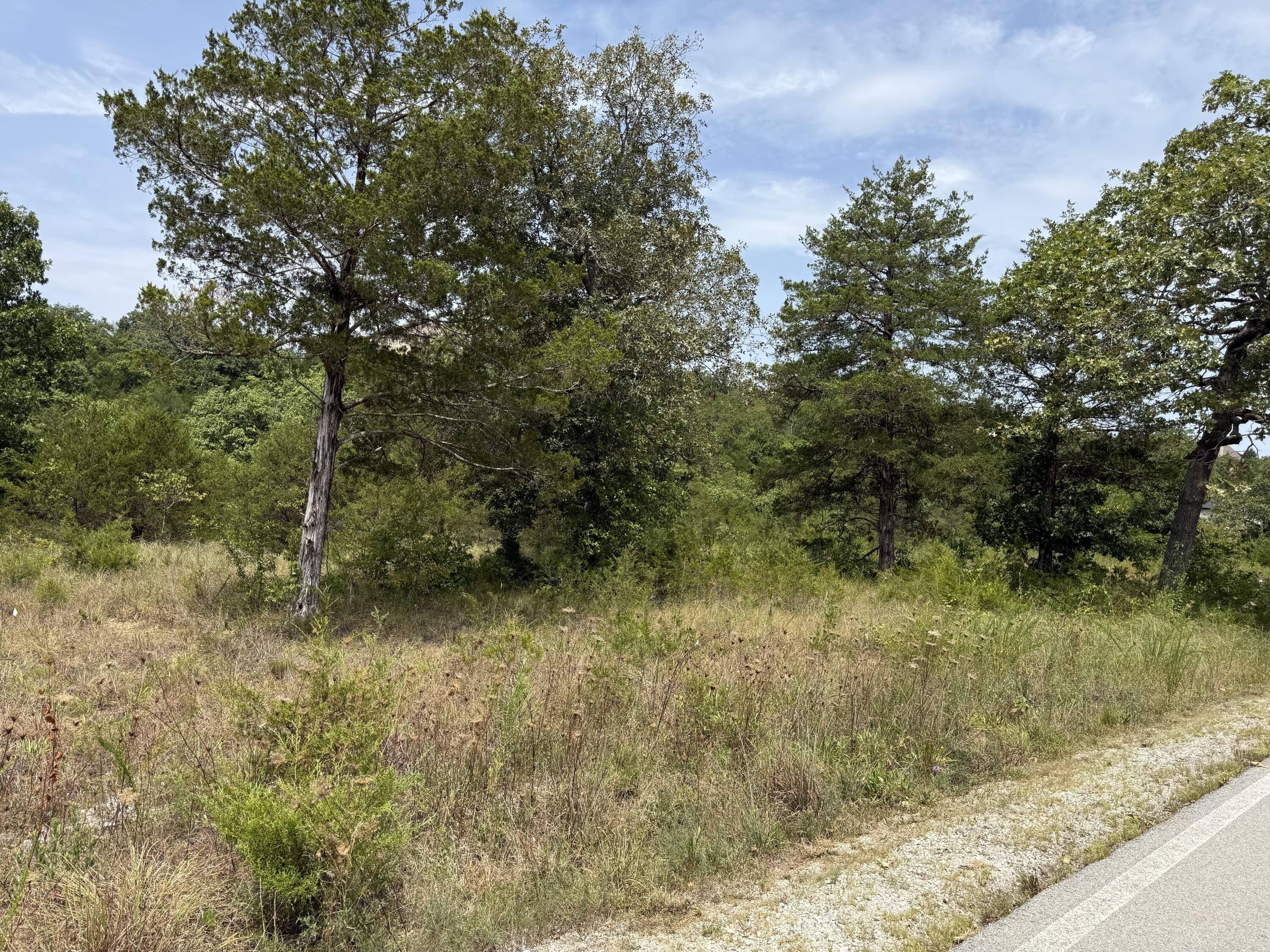 272 Beechwood Drive Property Photo 4