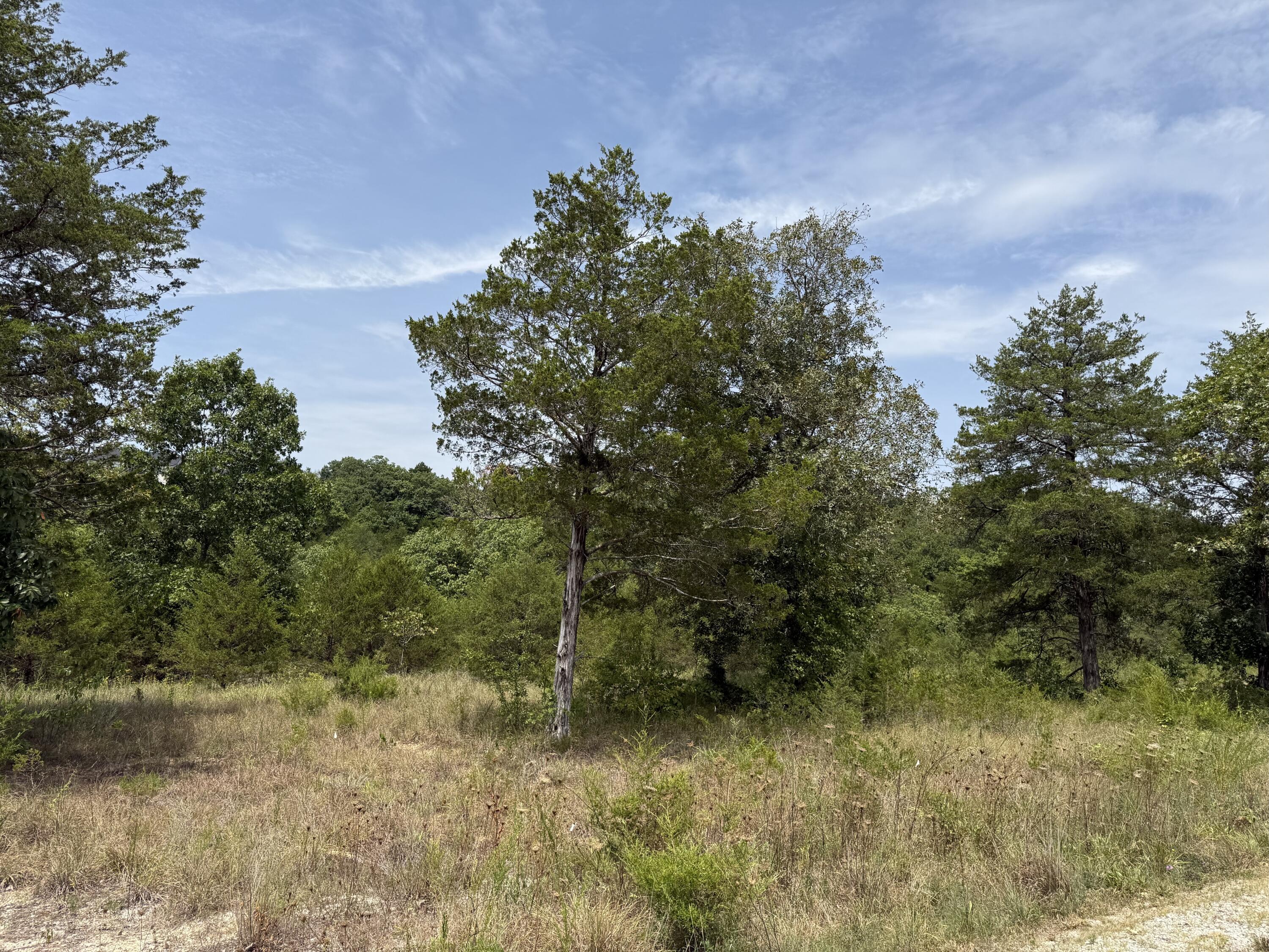 272 Beechwood Drive Property Photo 5