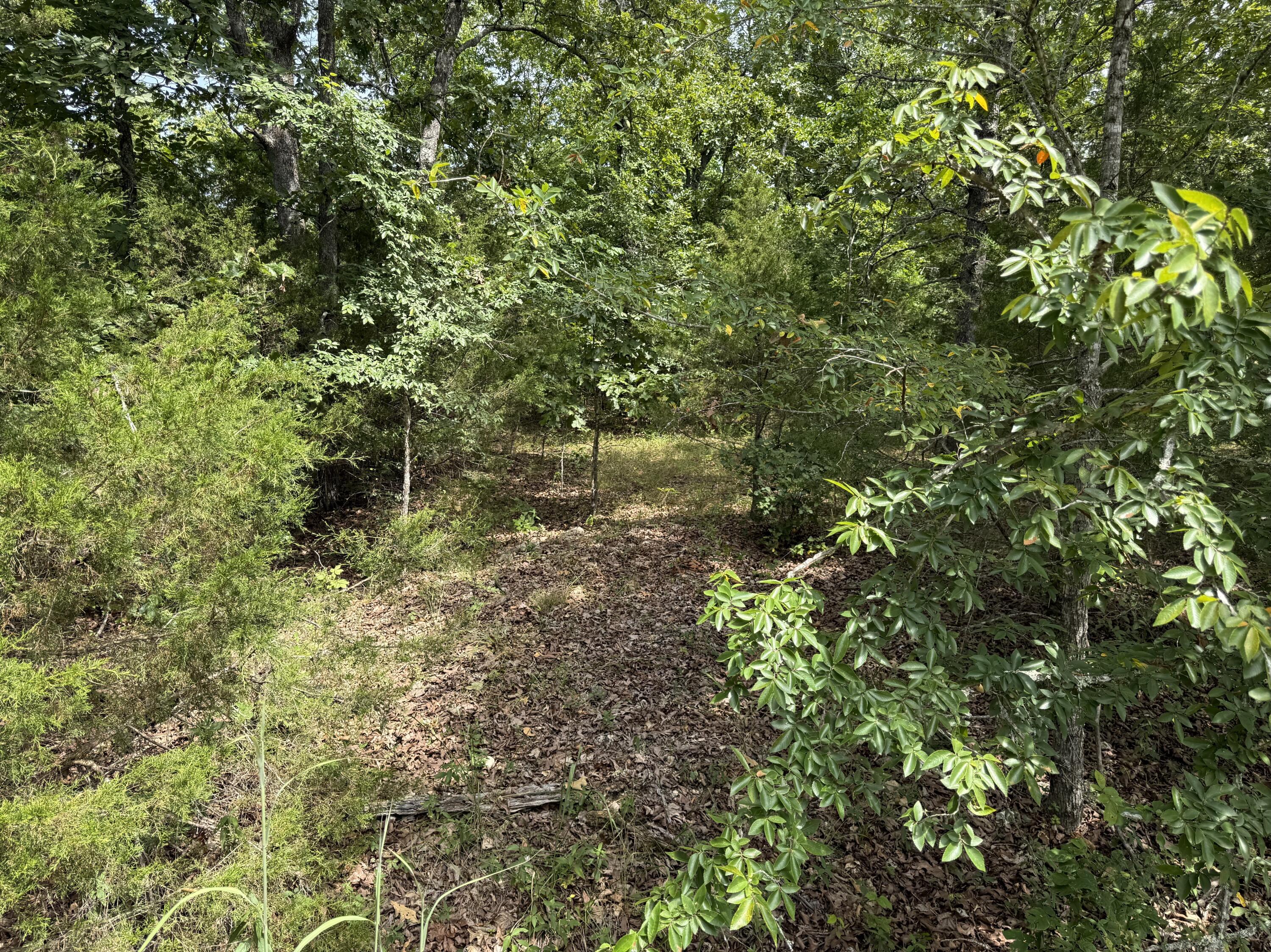 55 Cattail Court Property Photo 1