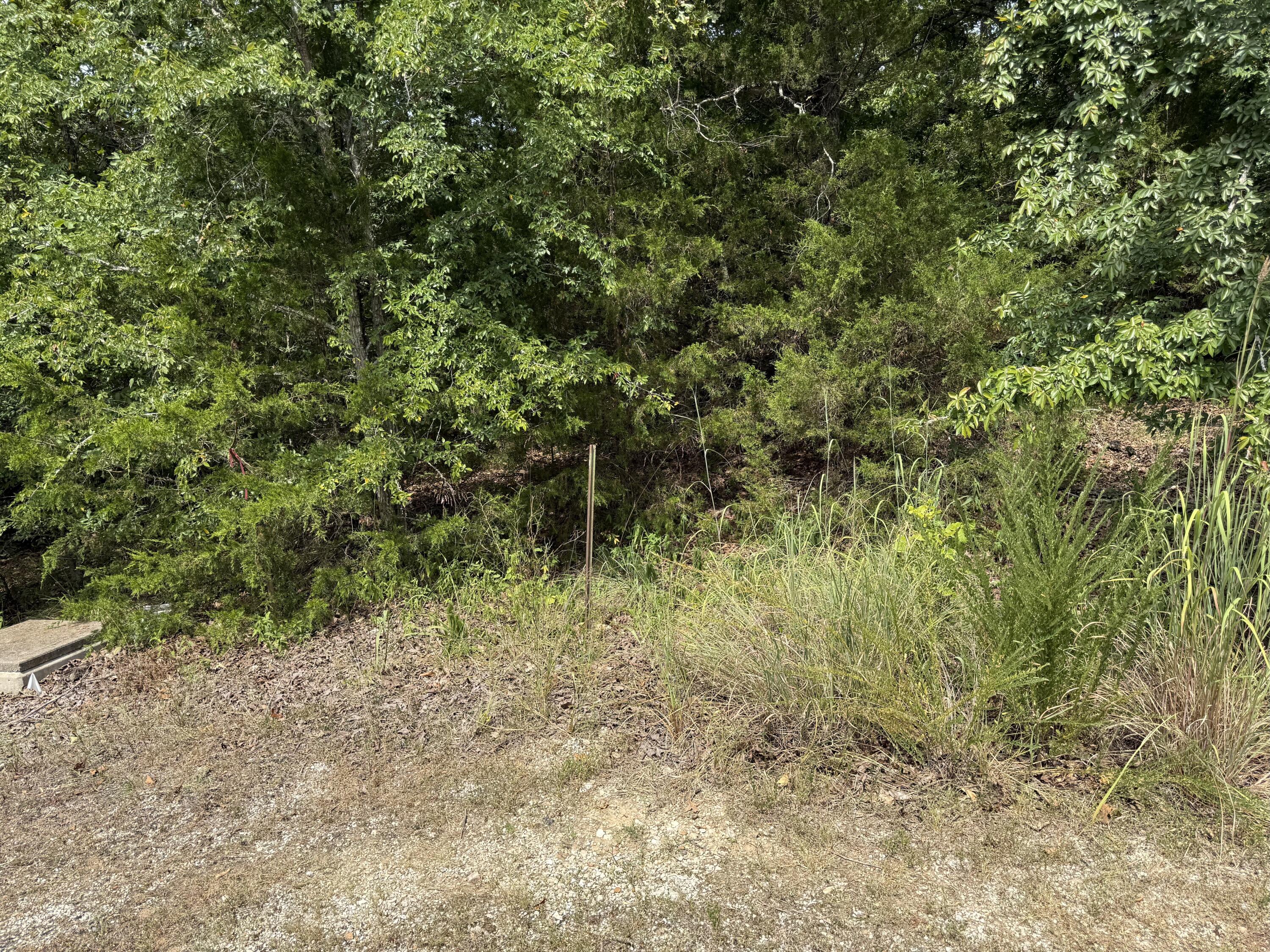 55 Cattail Court Property Photo 4