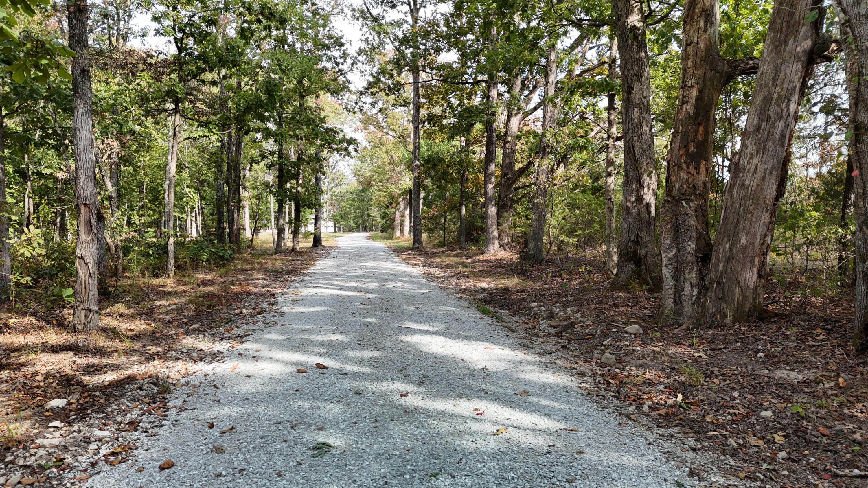 5679 State Highway Bb Property Photo 50