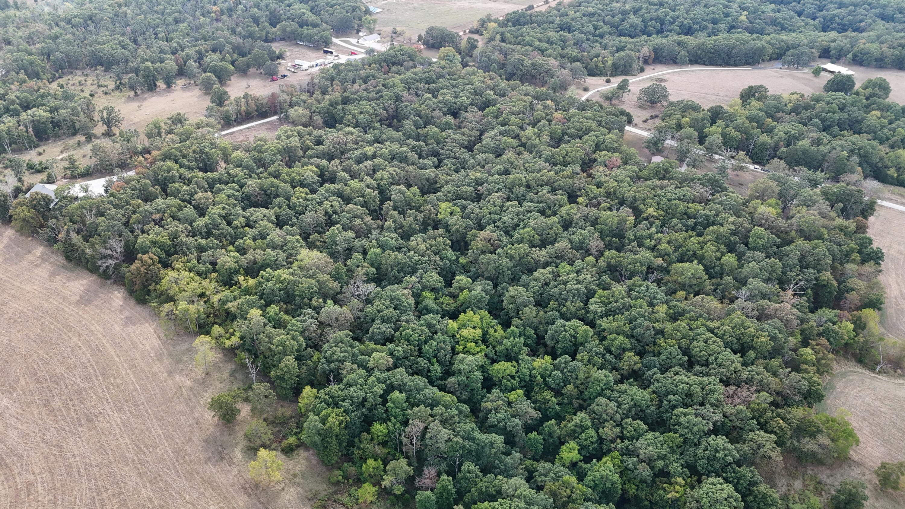 5679 State Highway Bb Property Photo 55