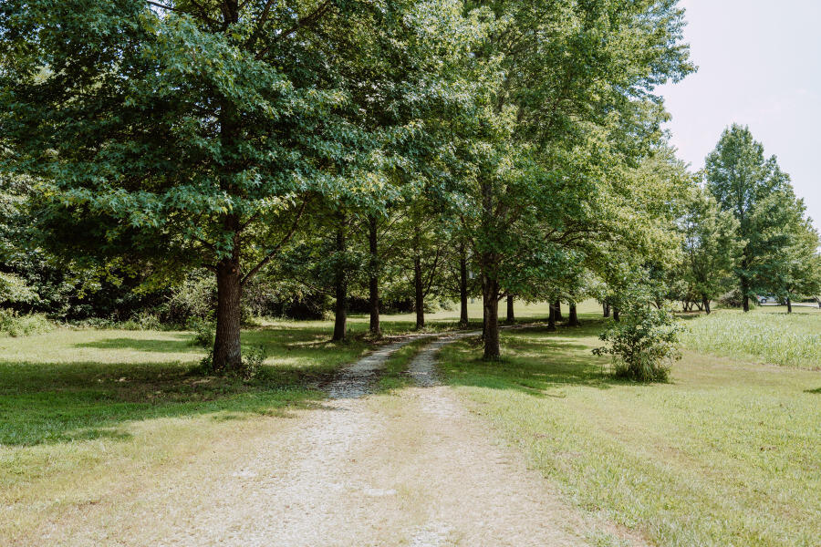 10635 Co Road Y-500-b Property Photo 38