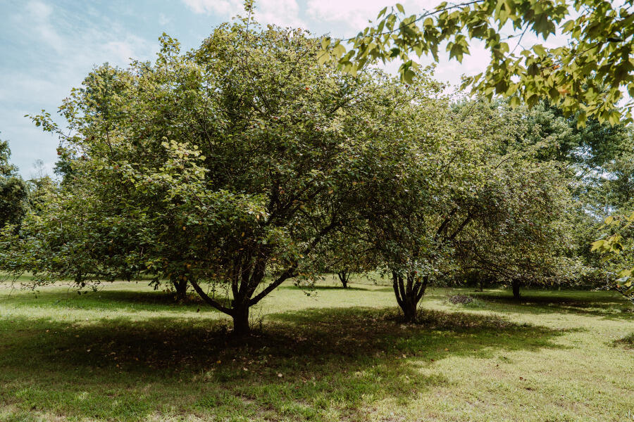 10635 Co Road Y-500-b Property Photo 45