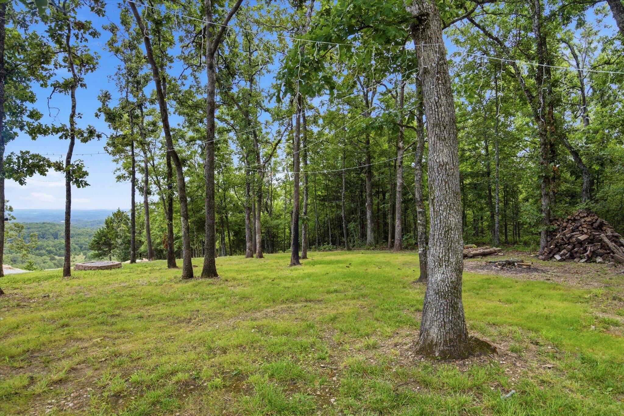 1206 State Highway B Property Photo 46