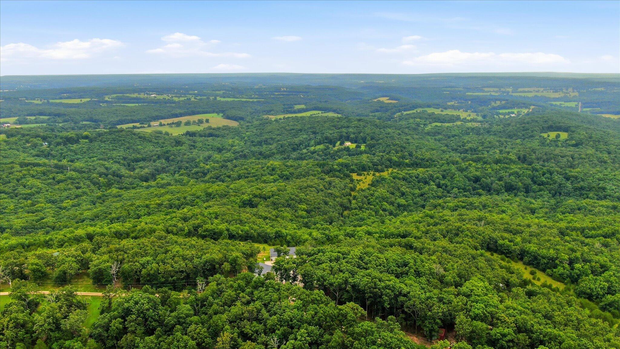 1206 State Highway B Property Photo 54