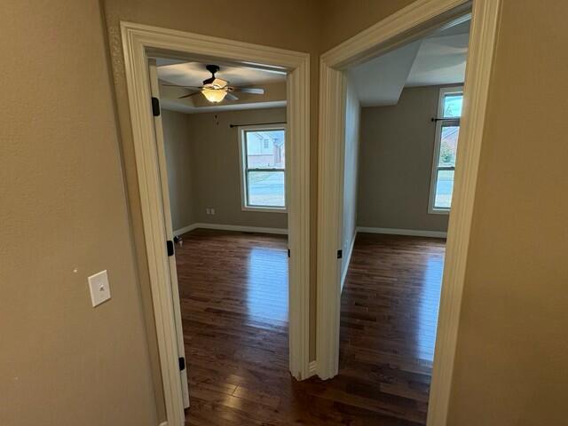 1103 Chicory Lane Property Photo 20
