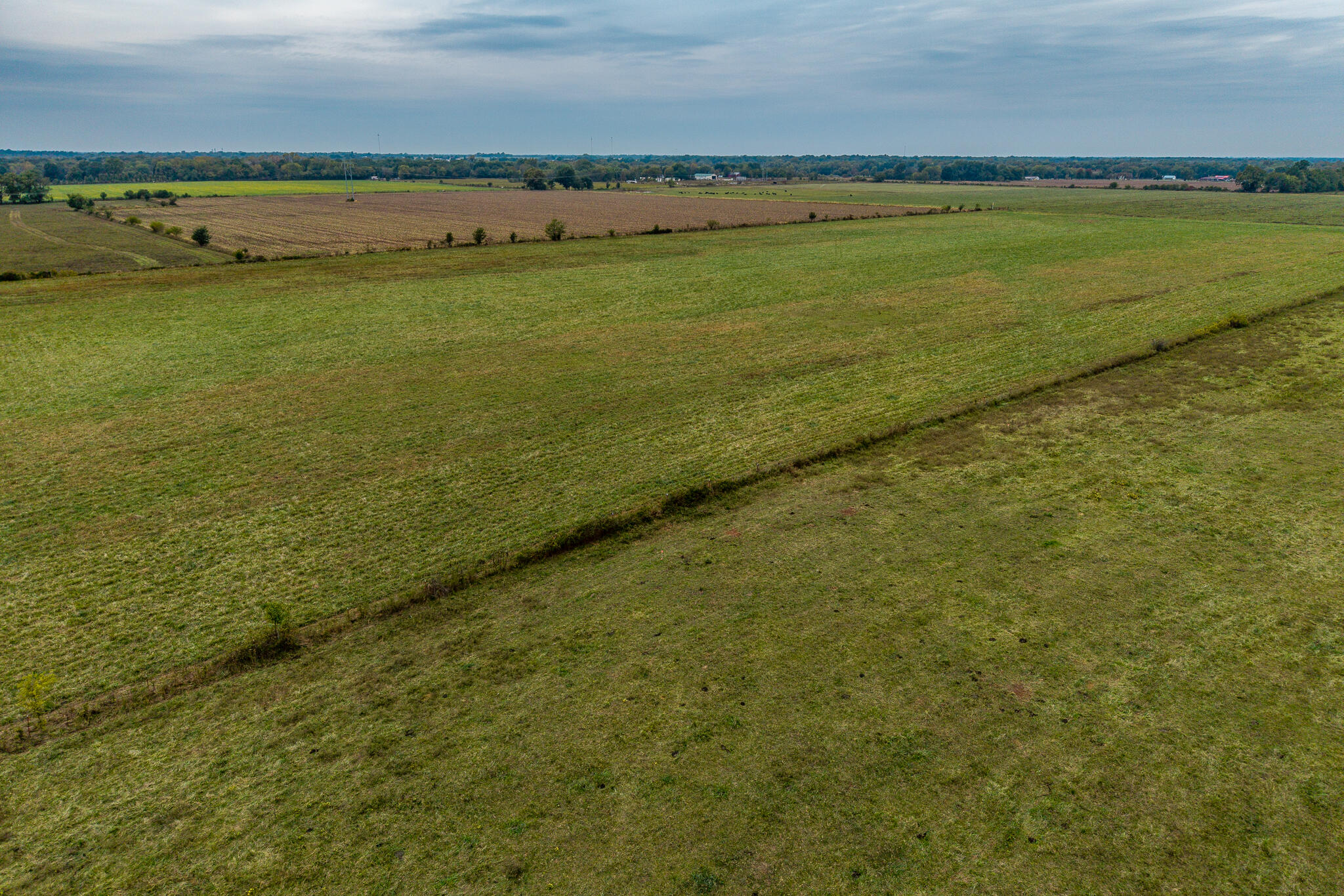 011 County Road 270 Property Photo 6
