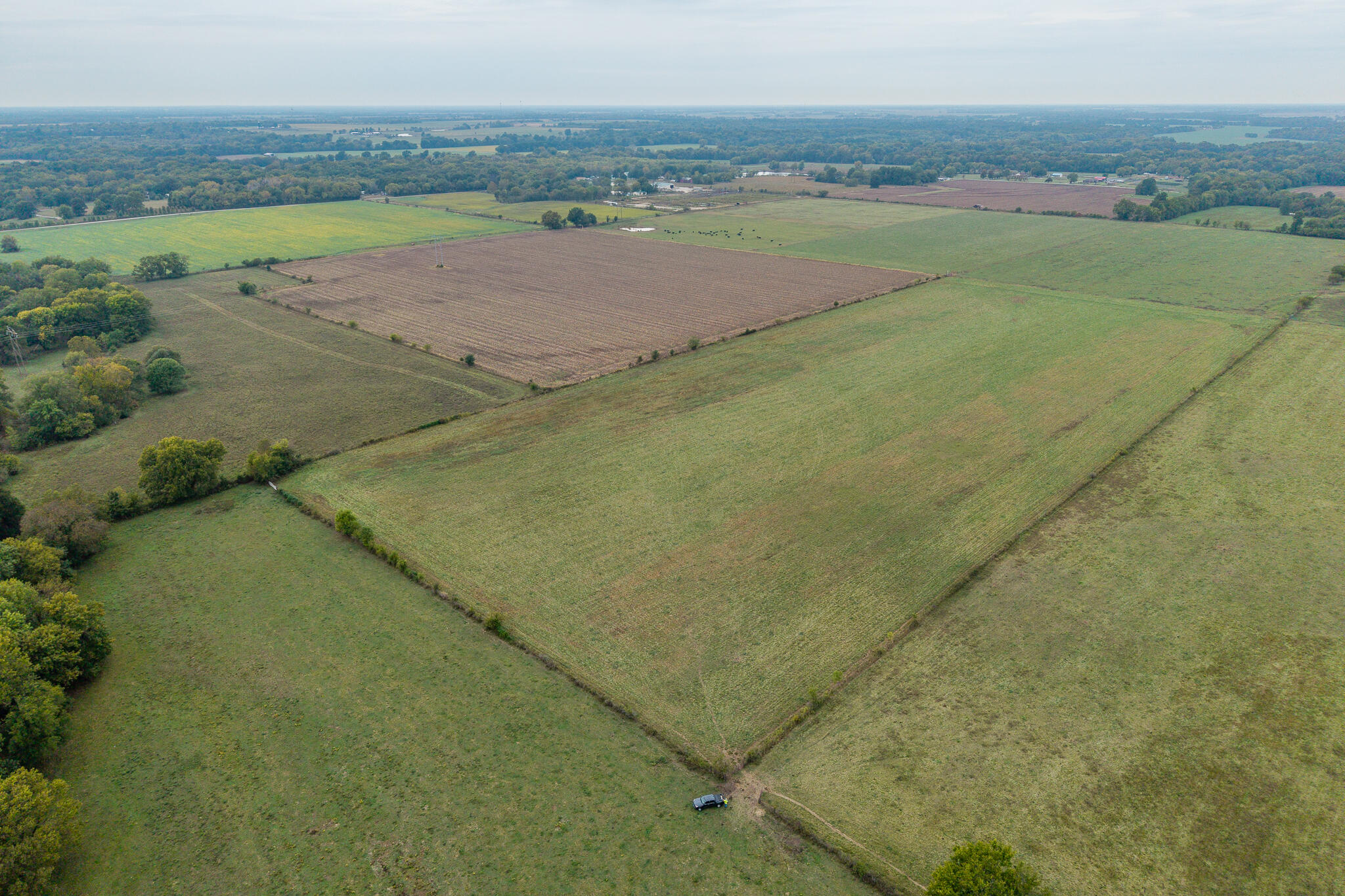 013 County Road 270 Property Photo 9